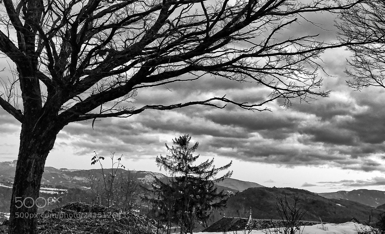 Sony Cyber-shot DSC-RX10 IV sample photo. Paysage nocturne photography