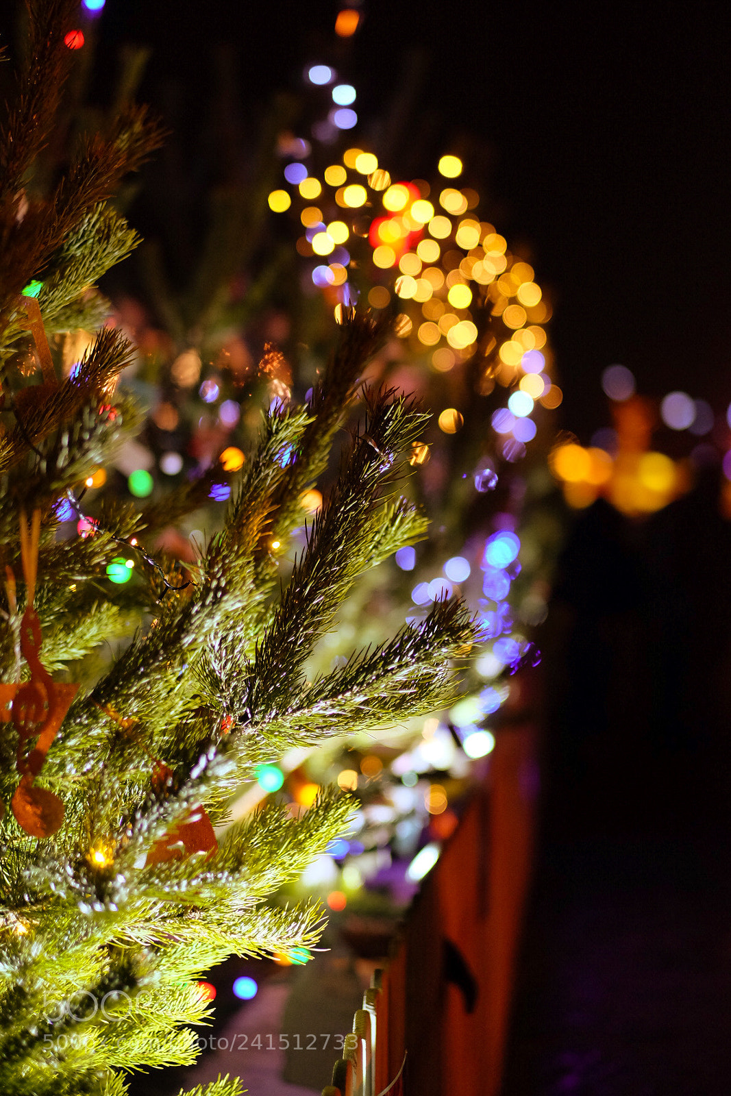 Fujifilm X-T1 sample photo. Christmas lights photography