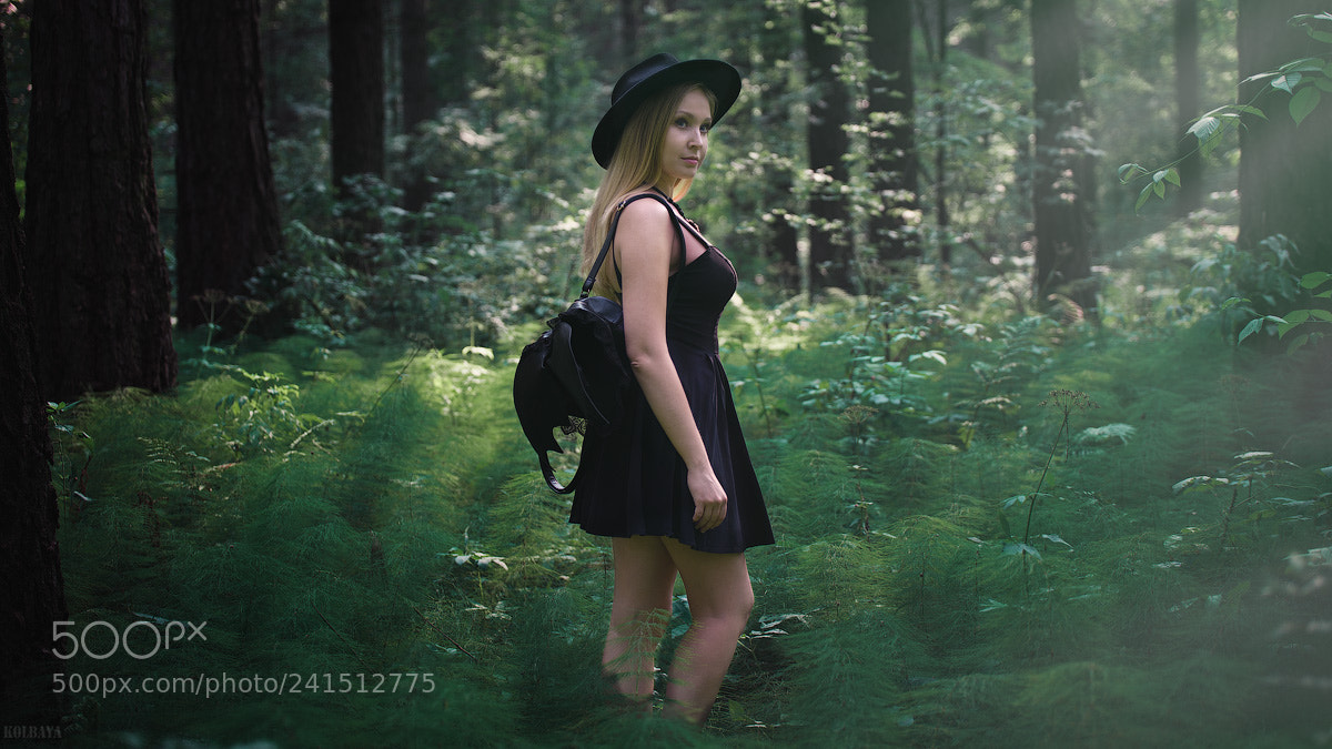 Nikon D600 sample photo. Forest photography
