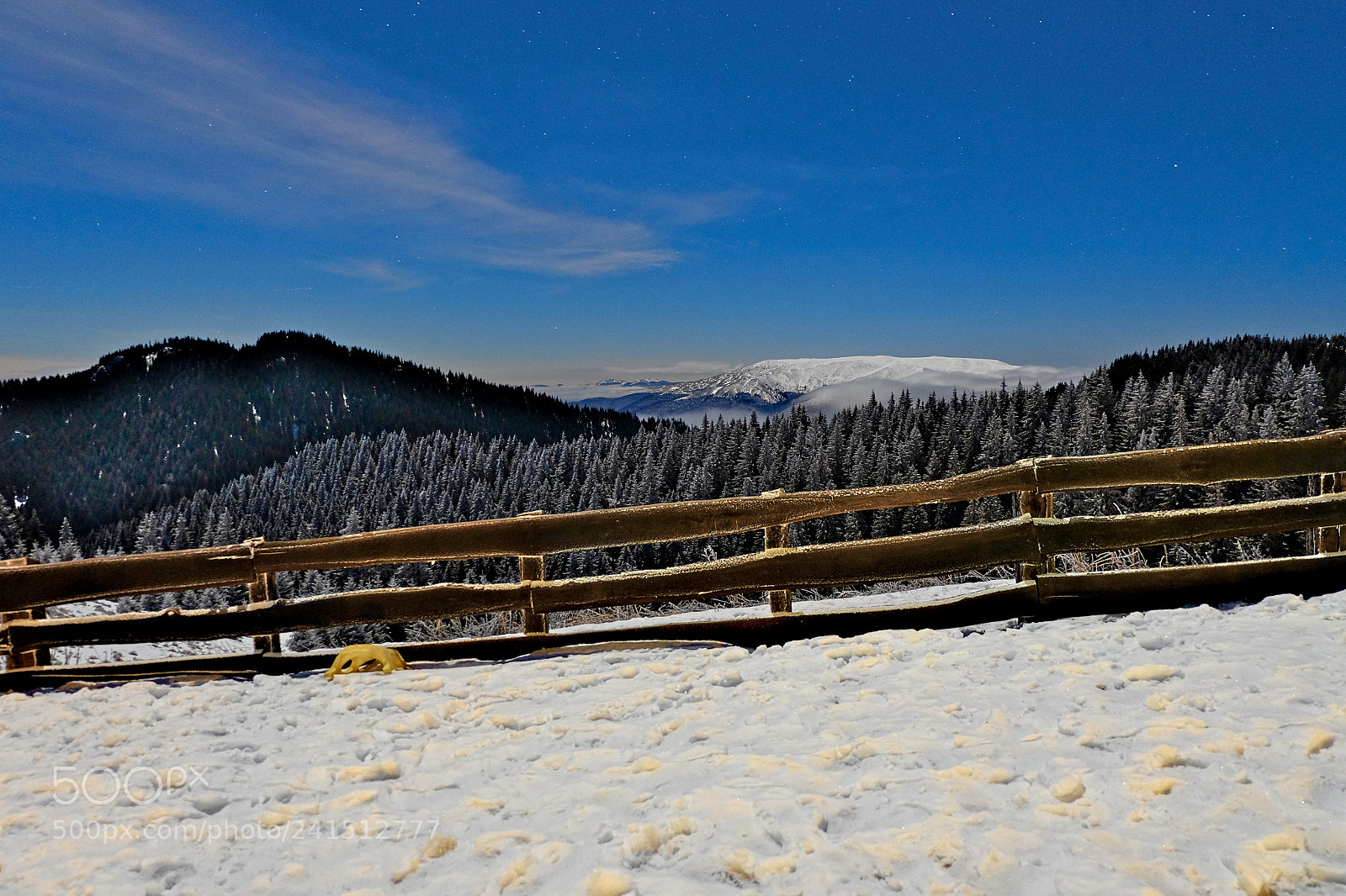 Fujifilm X-T10 sample photo. Untitled photography