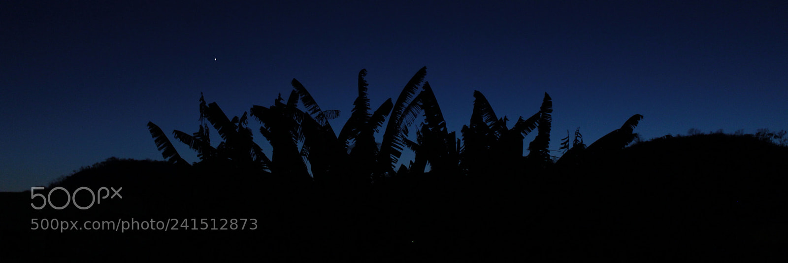 Canon EOS 700D (EOS Rebel T5i / EOS Kiss X7i) sample photo. Alguma coisa azul photography