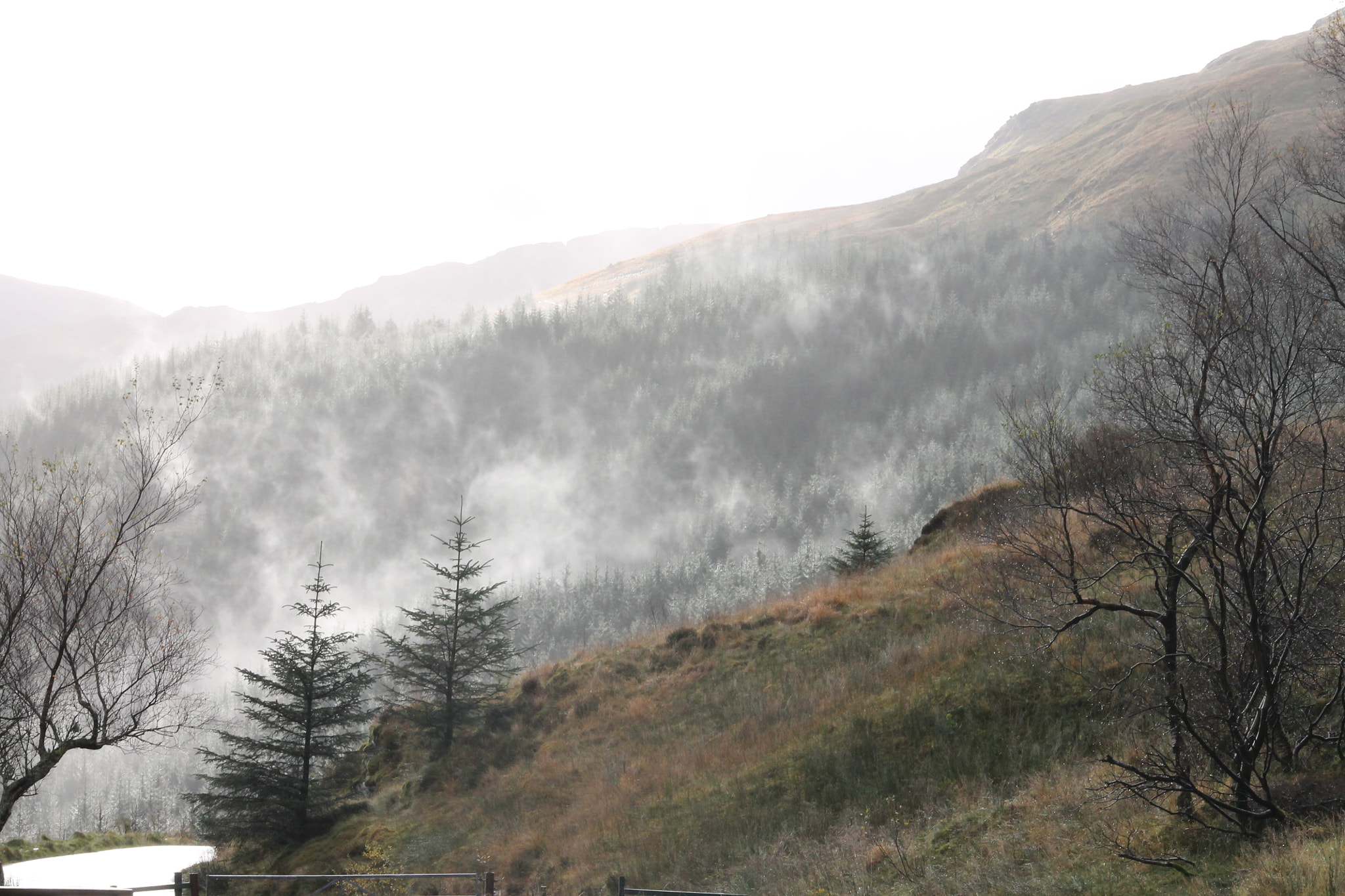 Canon EOS 1100D (EOS Rebel T3 / EOS Kiss X50) sample photo. Scotch mist taken argyll scotland photography