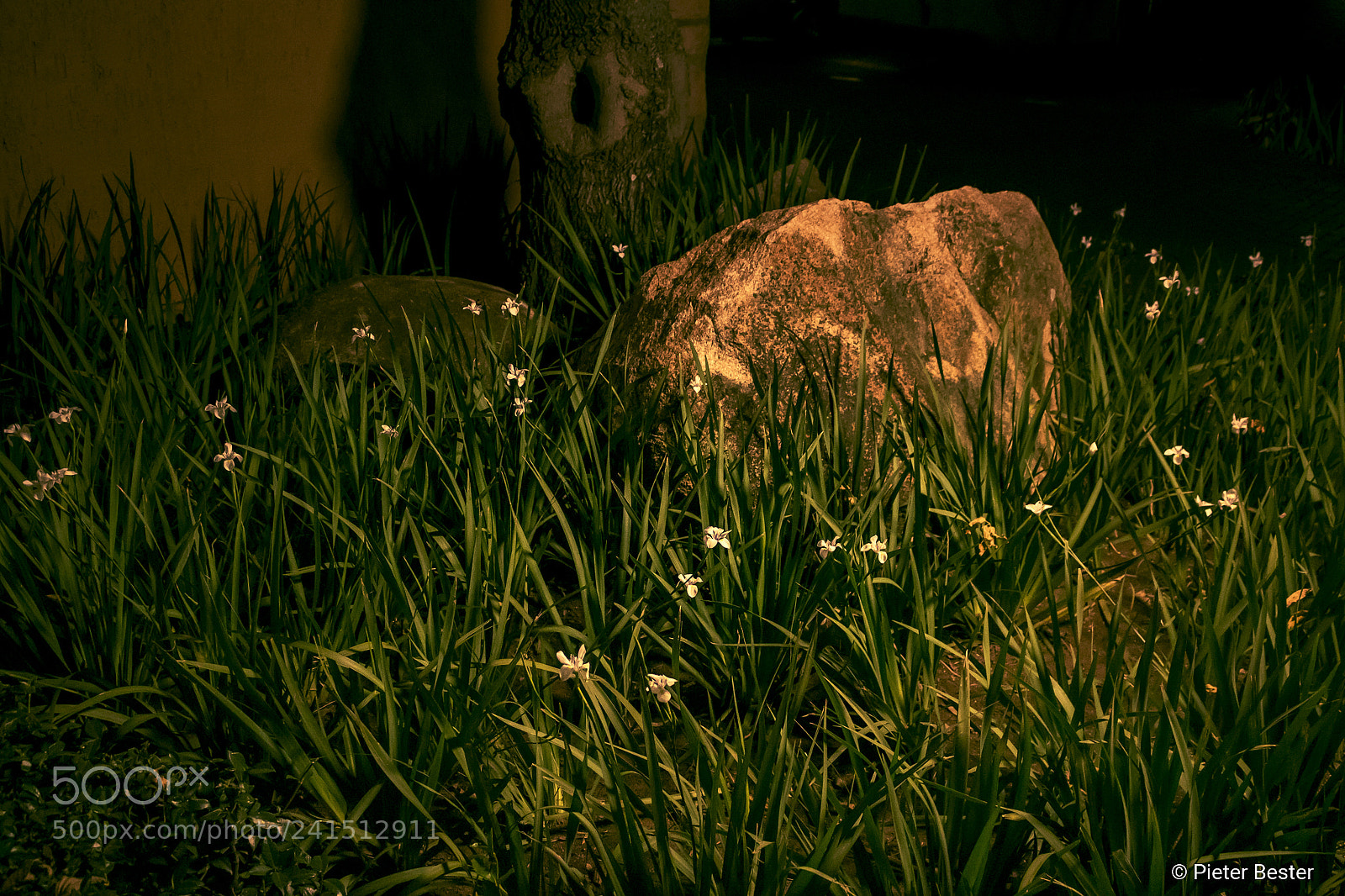 Canon EOS 750D (EOS Rebel T6i / EOS Kiss X8i) sample photo. Rocky garden photography