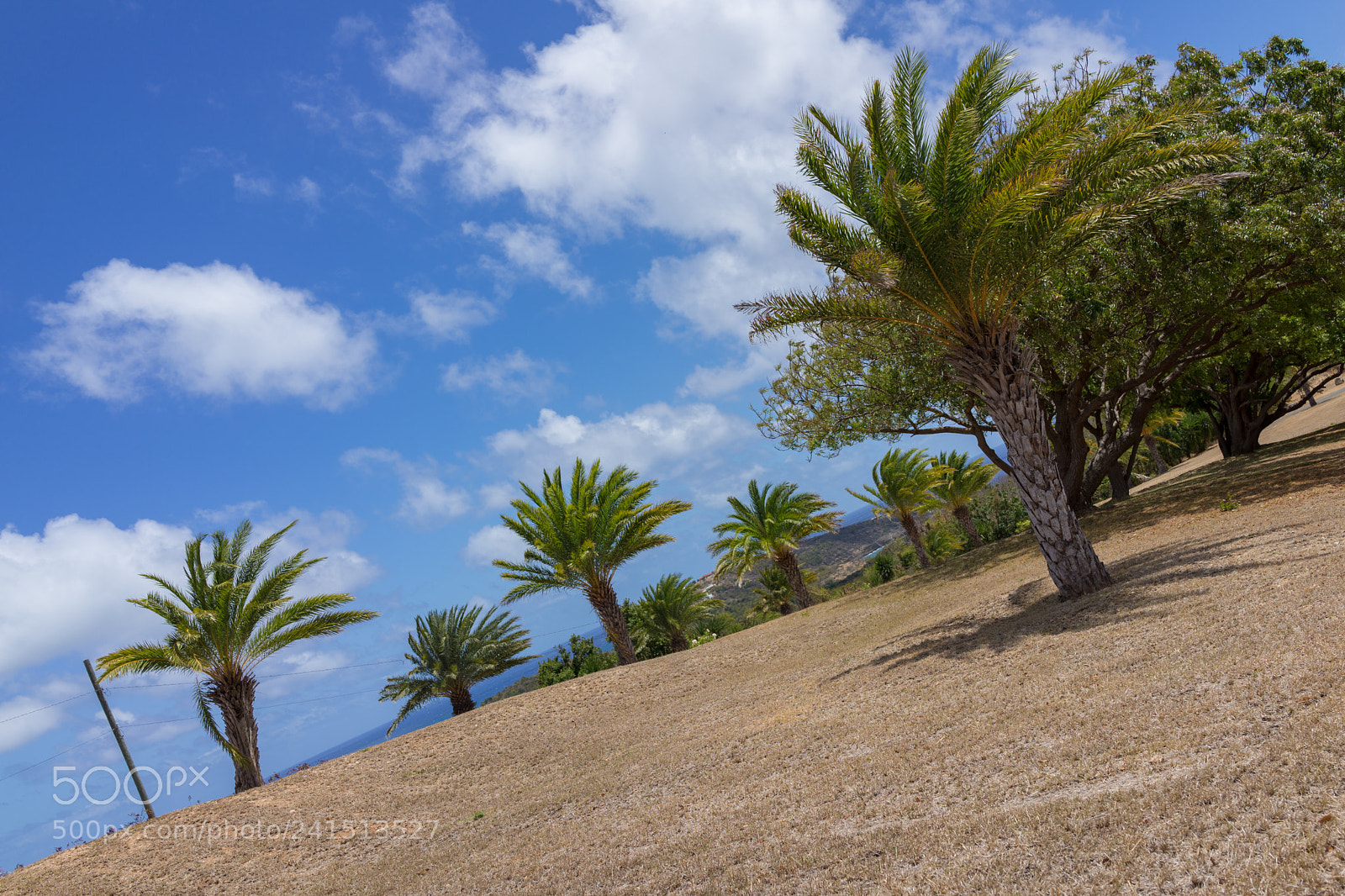 Sony Cyber-shot DSC-RX1R sample photo. Antigua photography