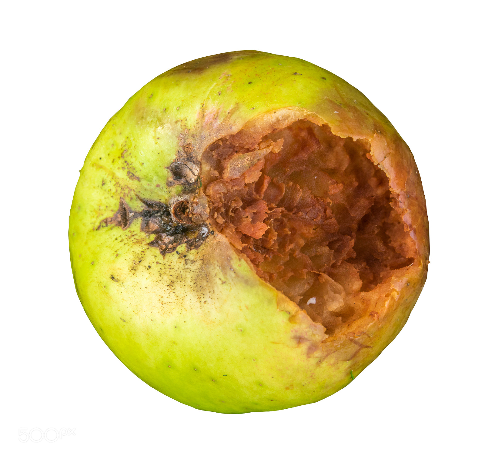 Sony Cyber-shot DSC-RX10 III sample photo. Rotten green apple photography
