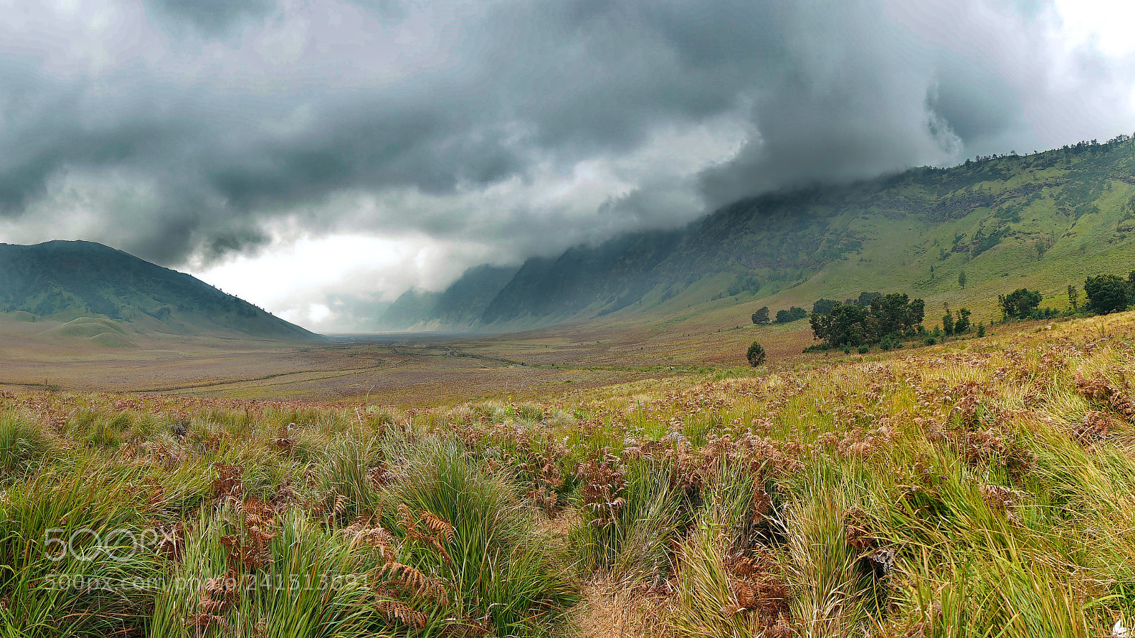 Sony a7 II sample photo. Savanna valley photography