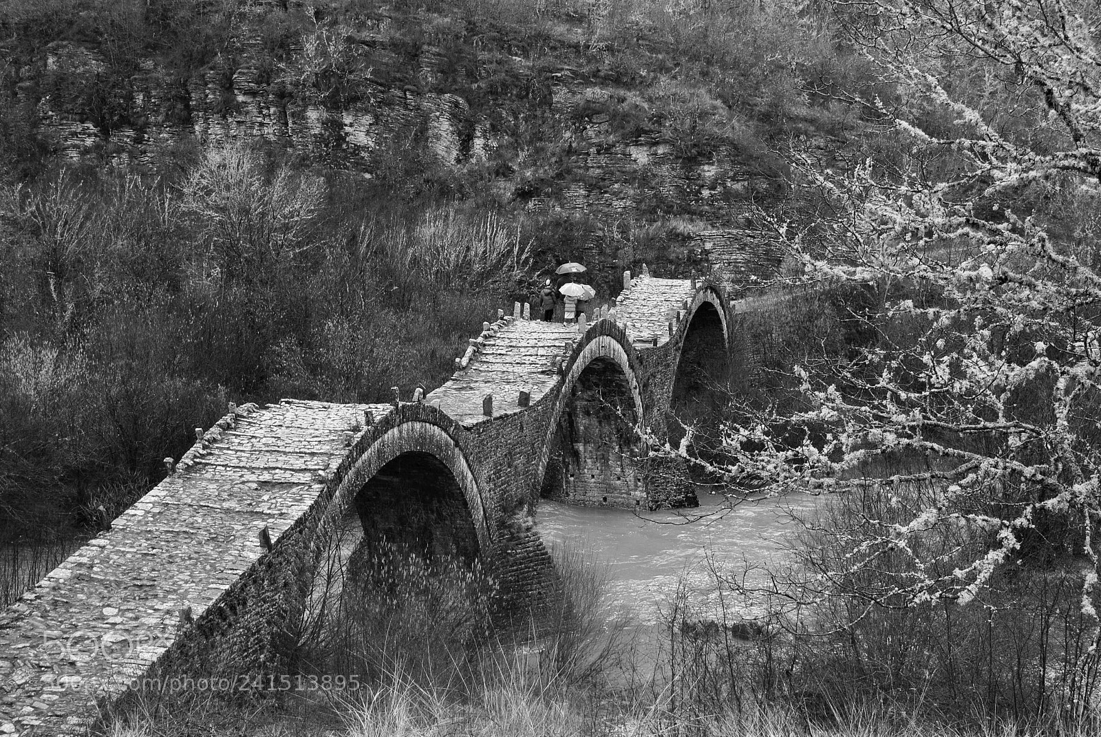 Nikon D3000 sample photo. Old bridge photography