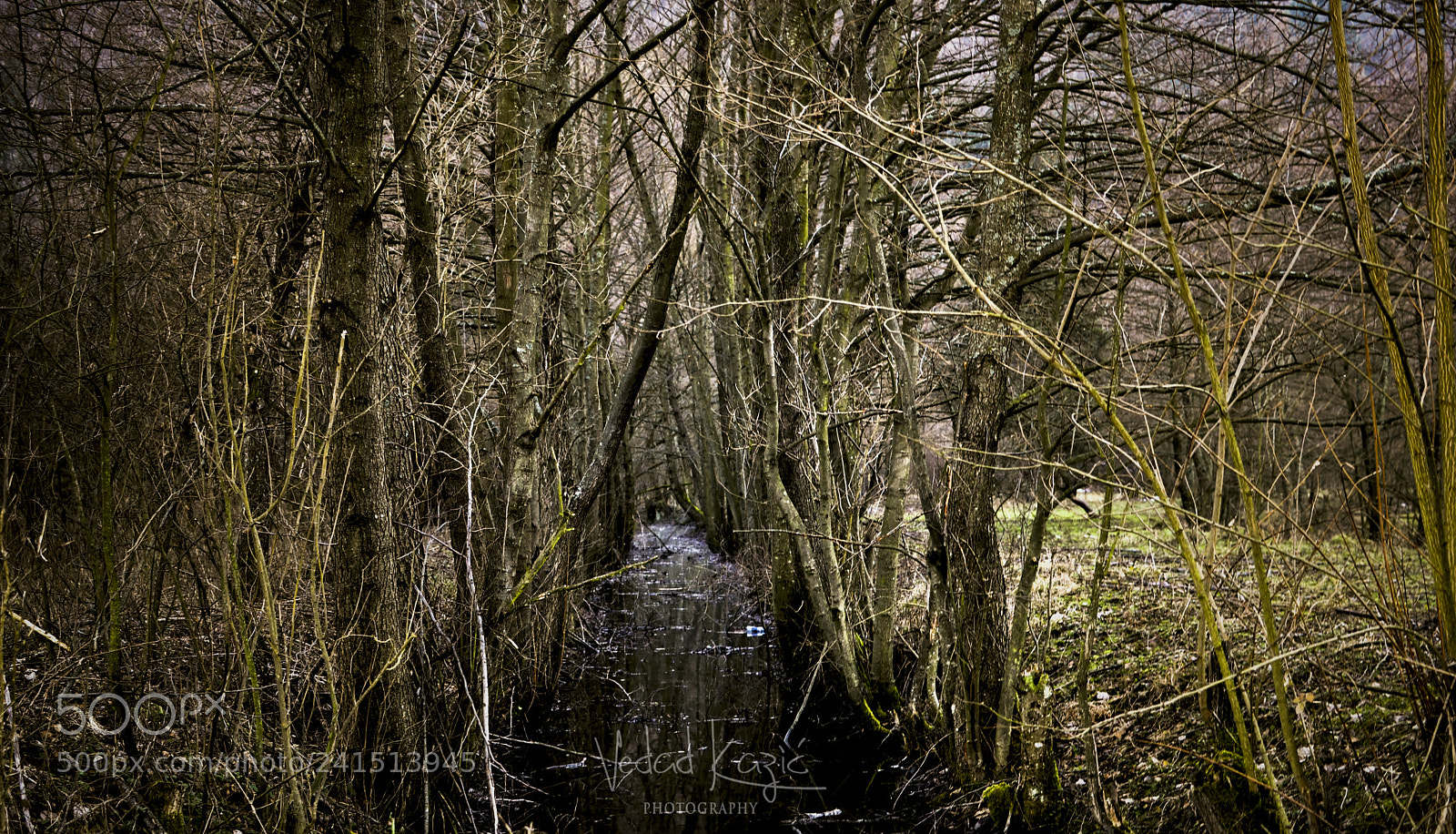 Nikon D3100 sample photo. Priroda photography