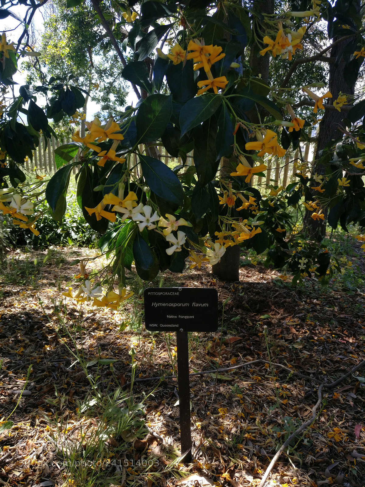 OnePlus A3003 sample photo. Img_20170519_155943.jpg photography