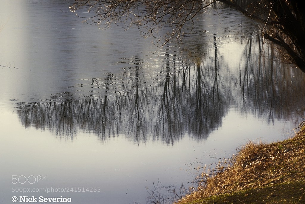 Sony a7R sample photo. Water mirror photography