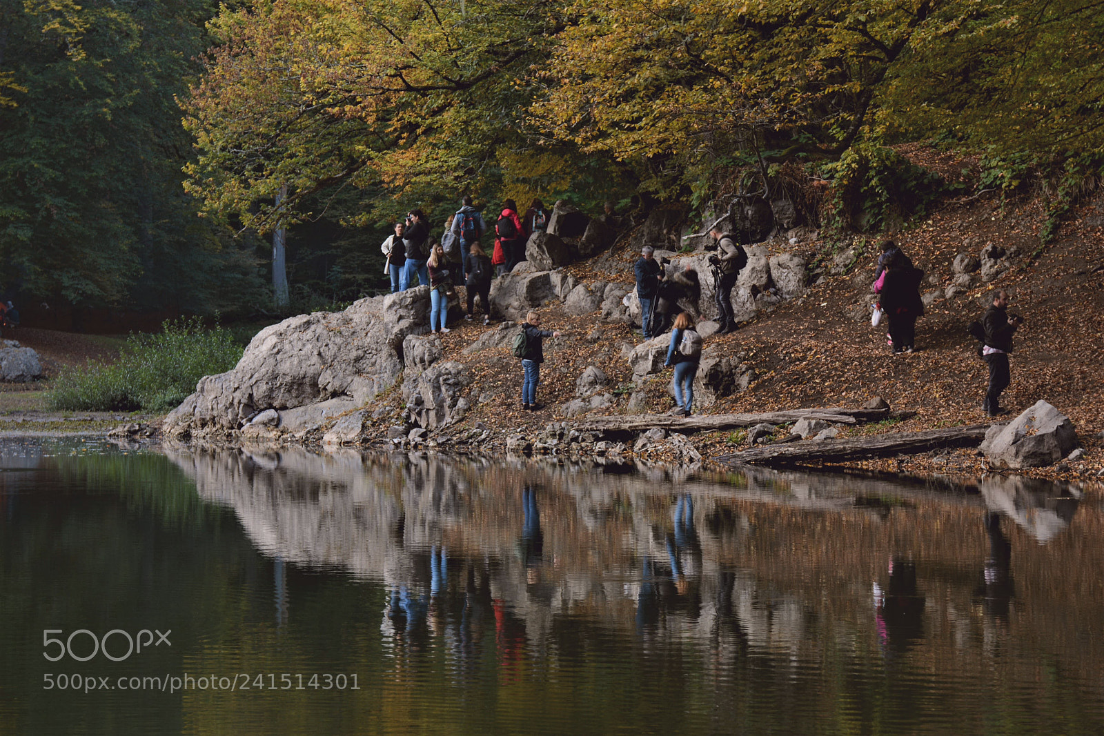 Nikon D7100 sample photo. Untitled photography
