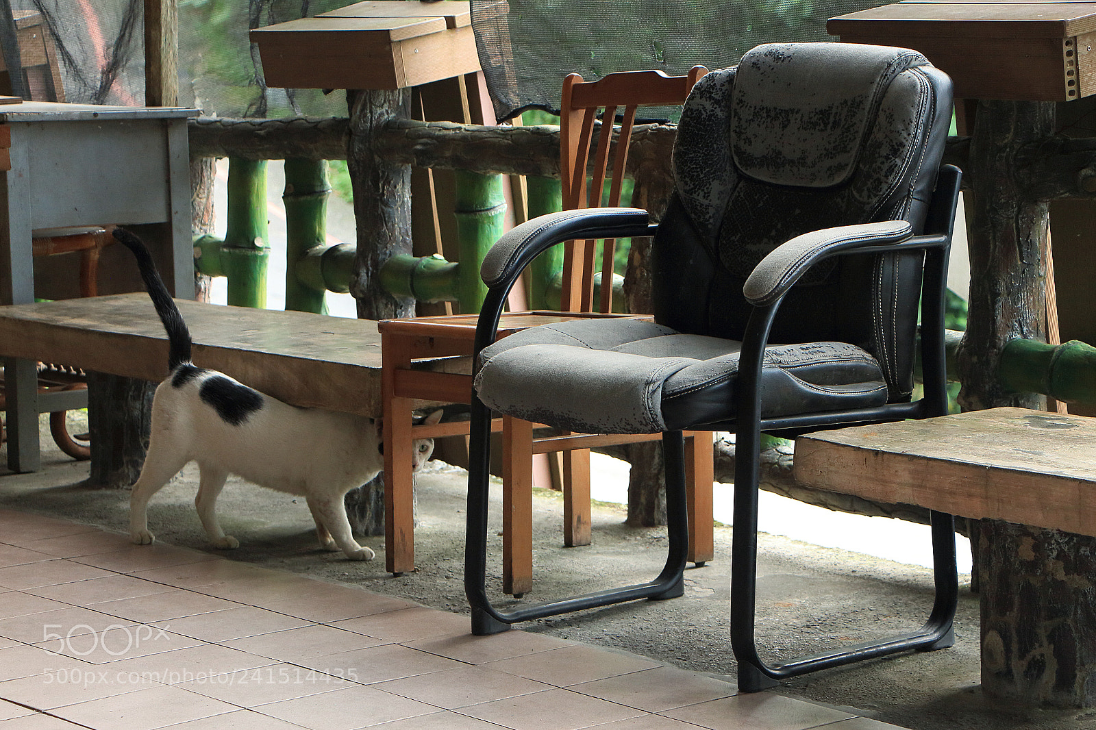 Canon EOS 650D (EOS Rebel T4i / EOS Kiss X6i) sample photo. #have_a_seat photography