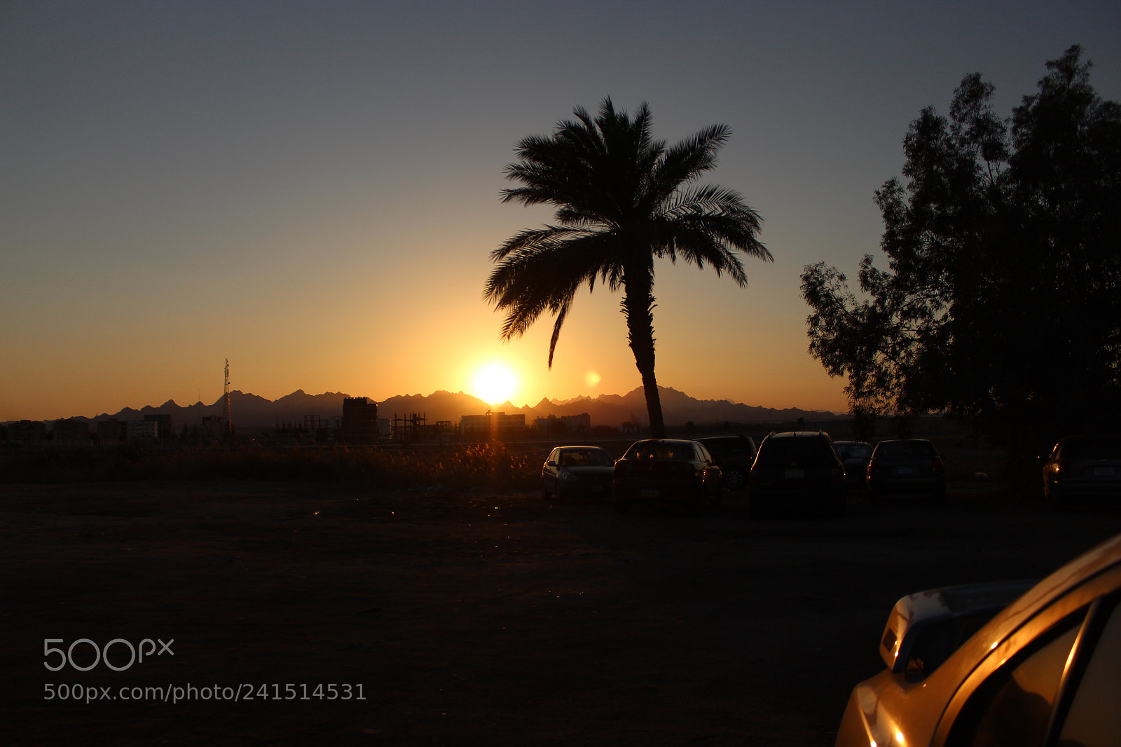 Canon EF-S 18-55mm F3.5-5.6 III sample photo. 102.jpg photography