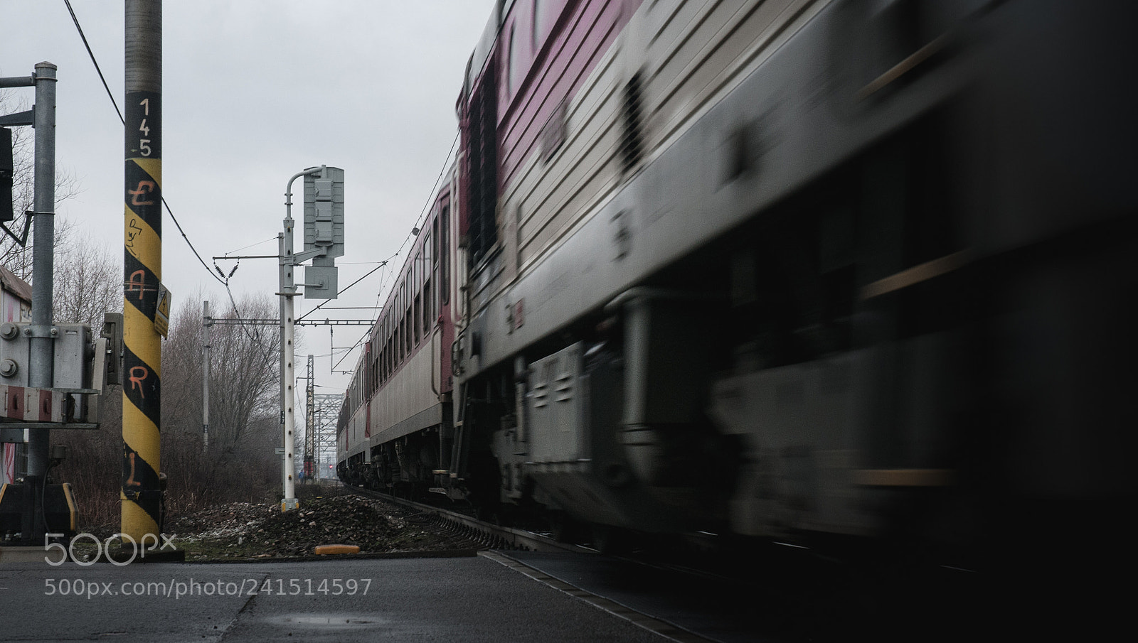Nikon D300 sample photo. Train to nowhere photography