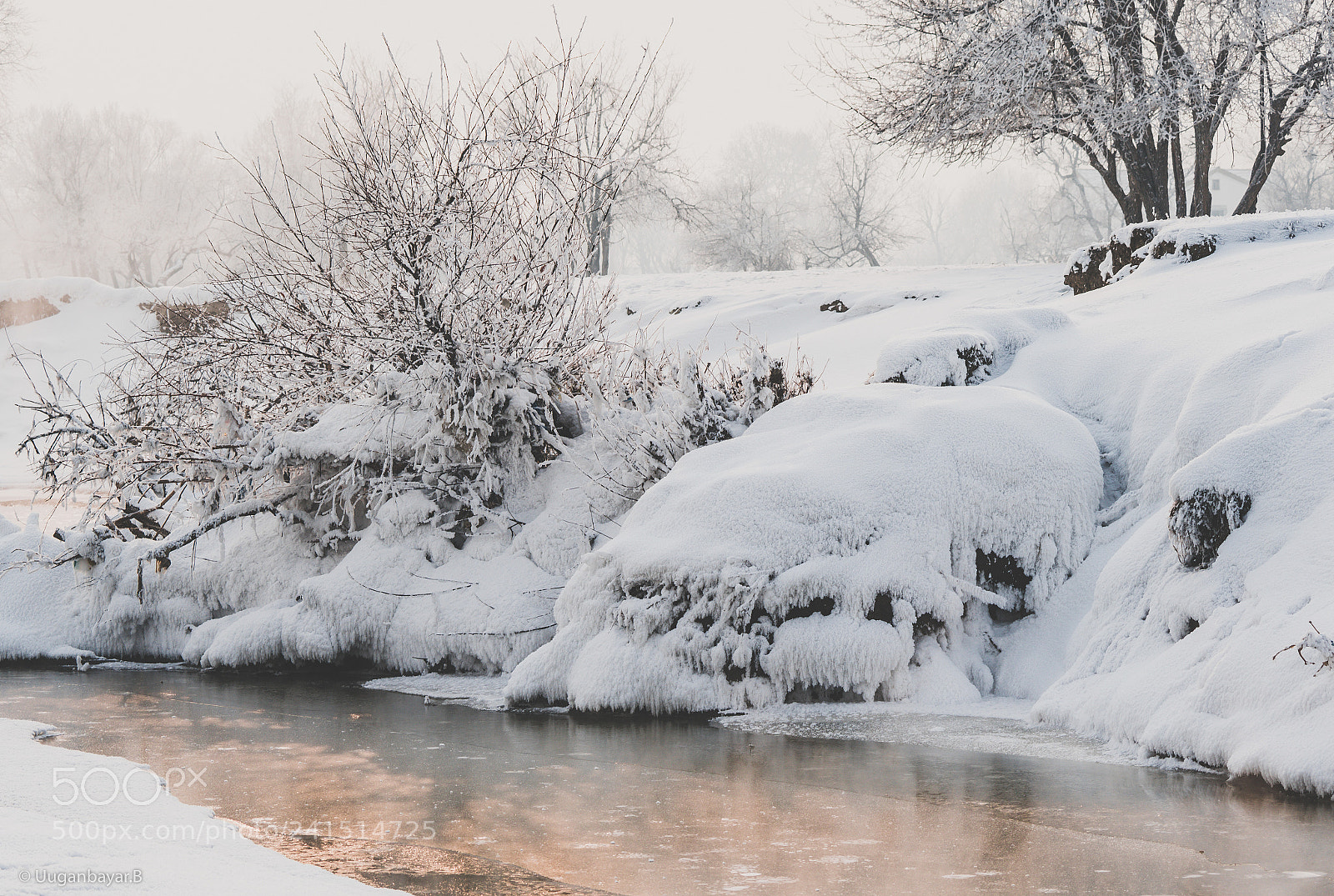 Sony a9 sample photo. Mongolian winter photography