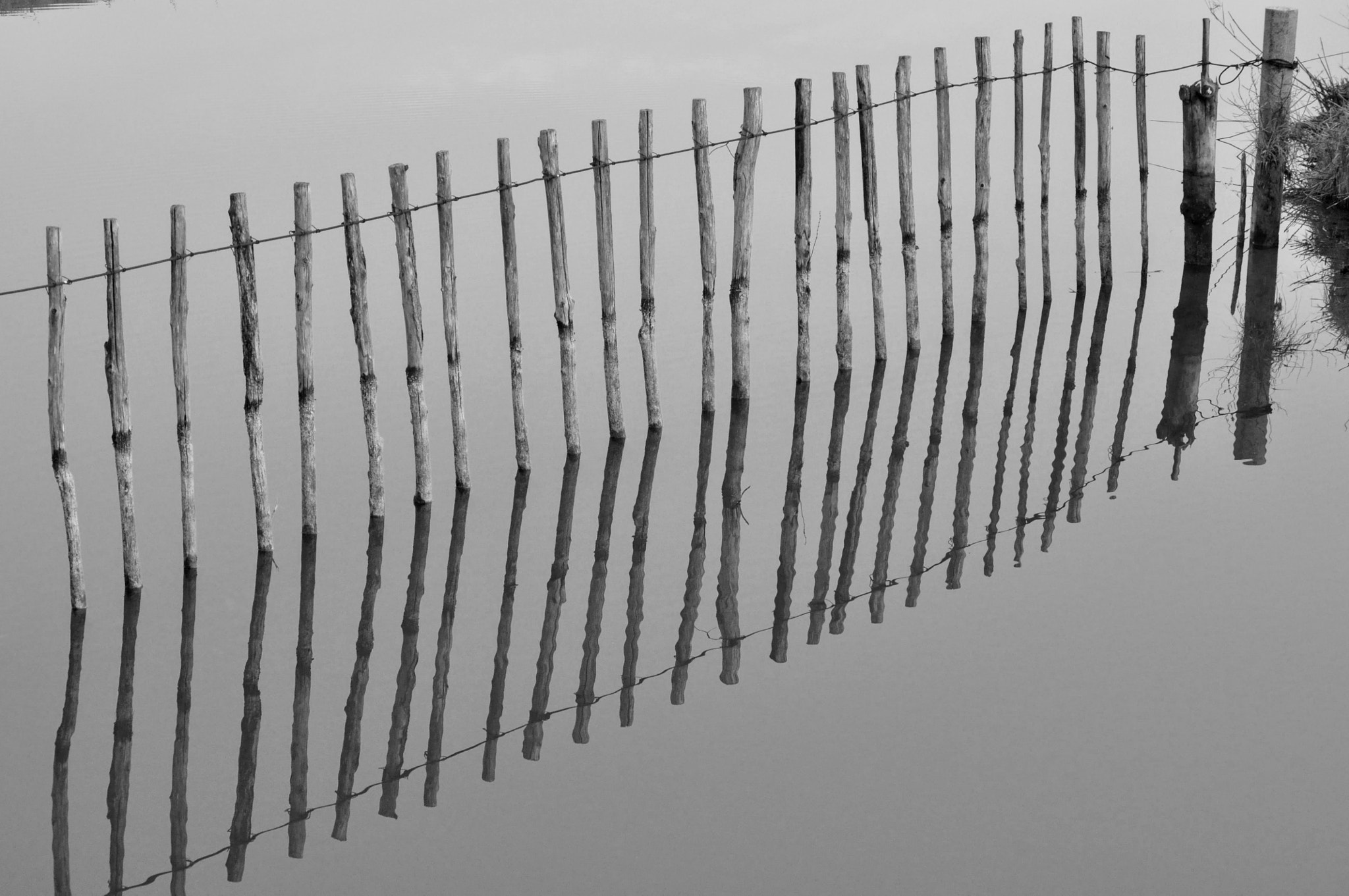 Nikon D90 sample photo. Riflessi photography