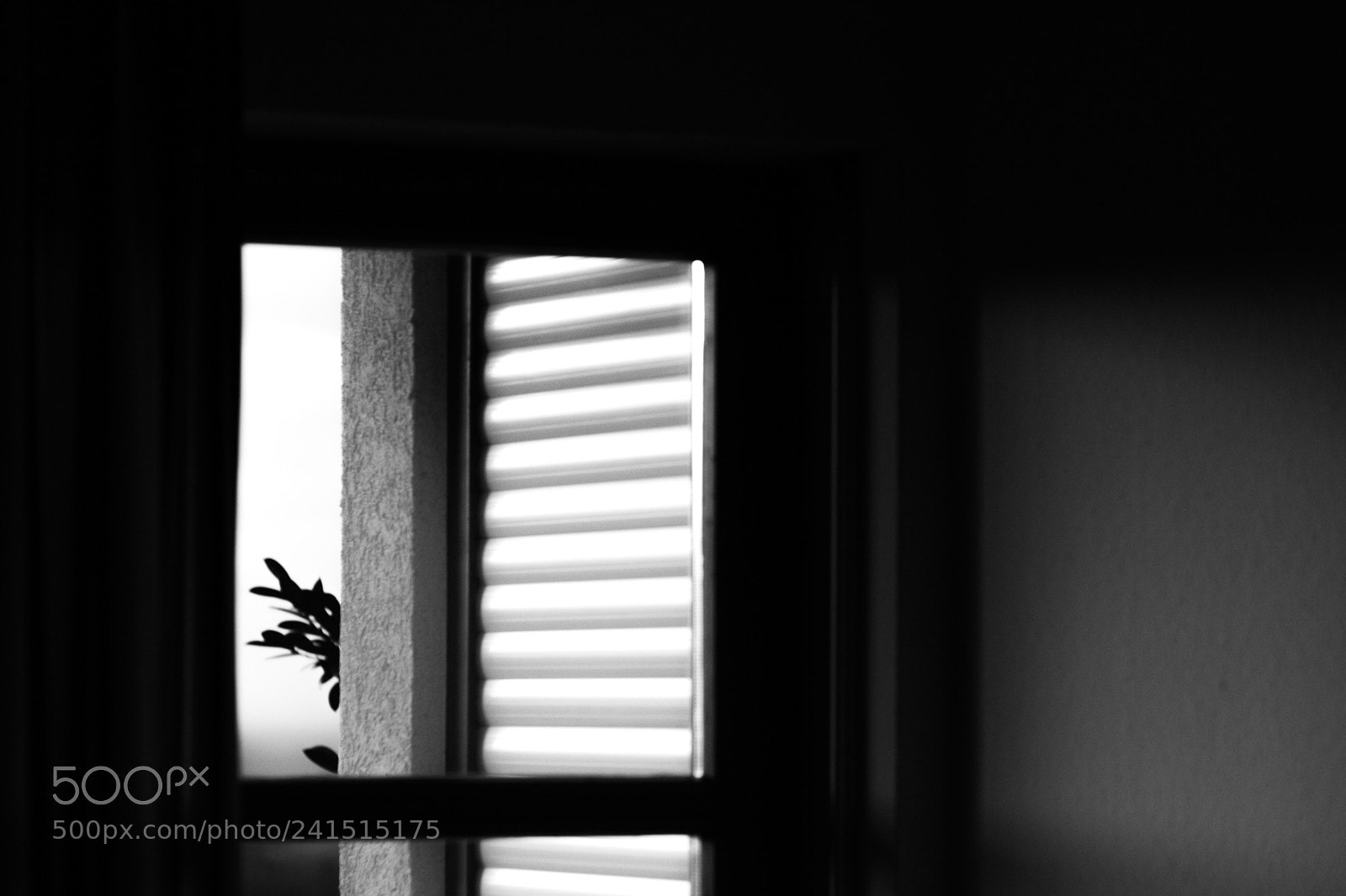 Canon EOS 100D (EOS Rebel SL1 / EOS Kiss X7) sample photo. Escape photography
