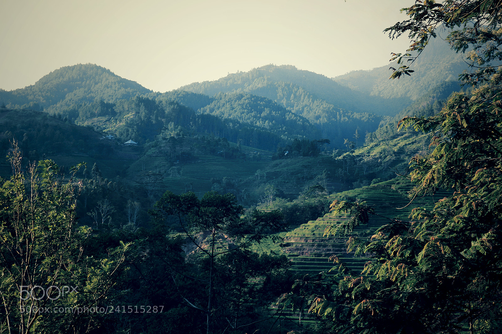 Canon EOS 750D (EOS Rebel T6i / EOS Kiss X8i) sample photo. **mountain** photography
