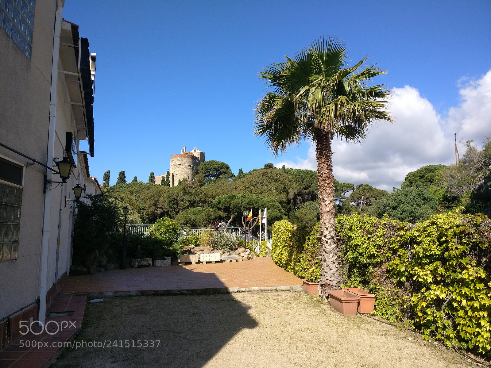 OnePlus A3003 sample photo. Img_20170520_095318.jpg photography