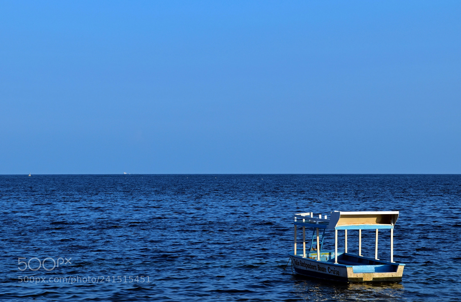 Nikon D5600 sample photo. Into the blue photography