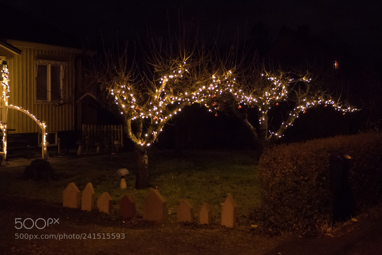 Panasonic Lumix DMC-GX85 (Lumix DMC-GX80 / Lumix DMC-GX7 Mark II) sample photo. Strange garden photography