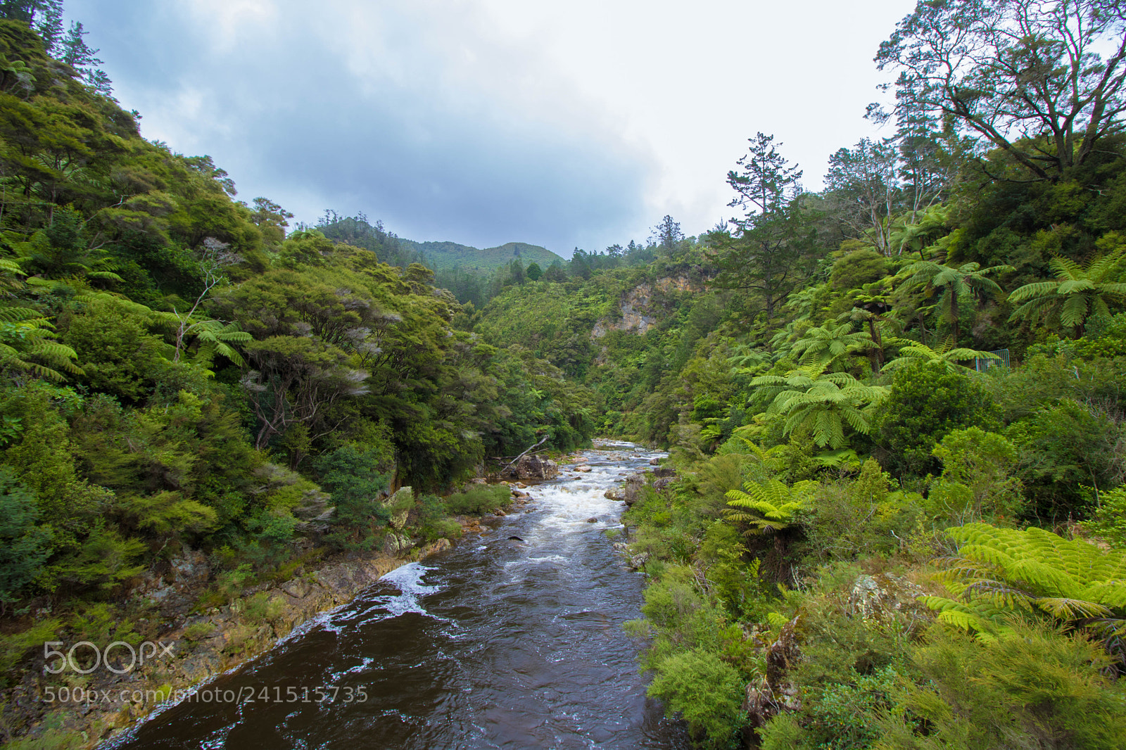 Canon EOS 750D (EOS Rebel T6i / EOS Kiss X8i) sample photo. Karangahake gorge photography