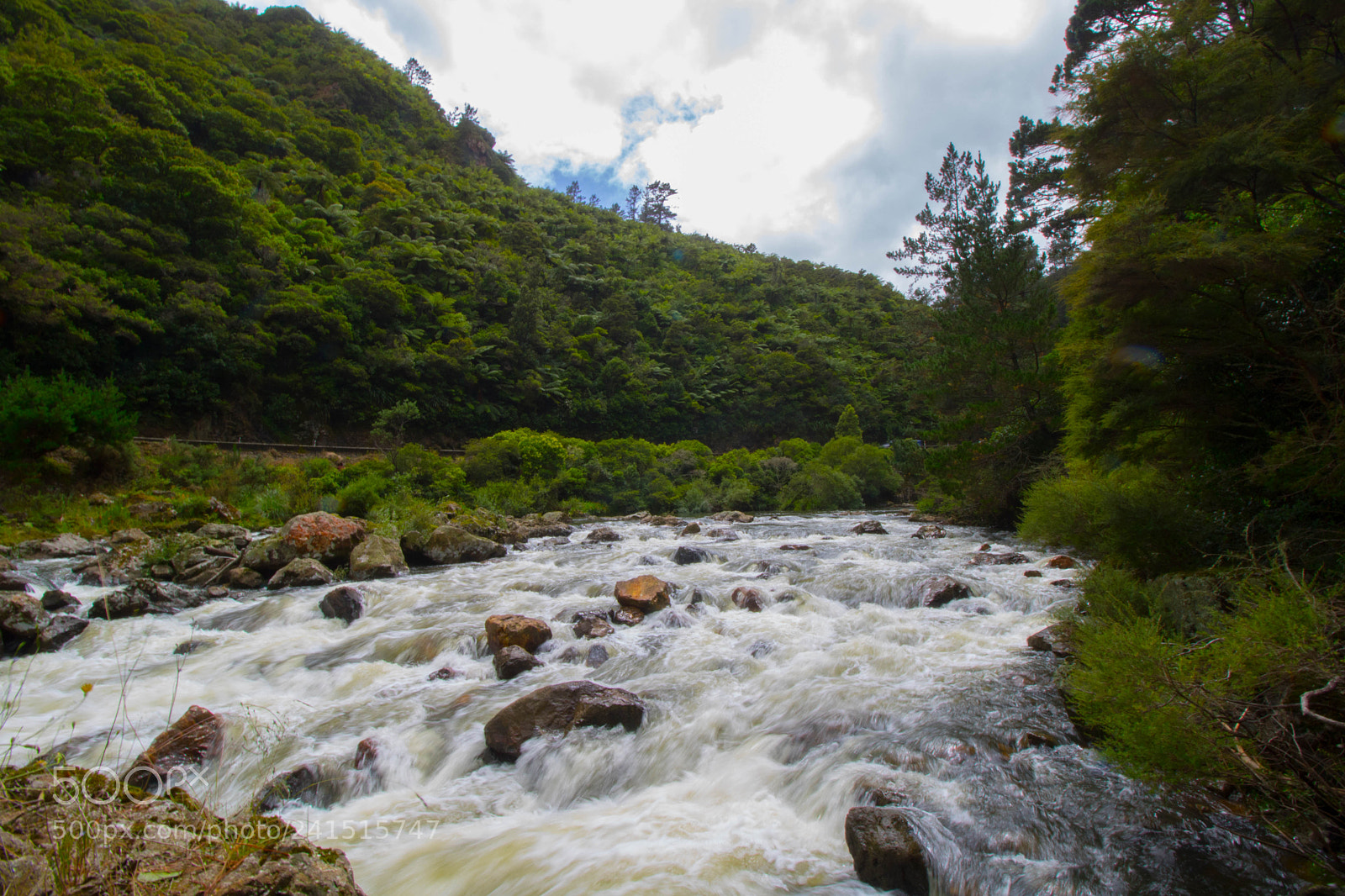 Canon EOS 750D (EOS Rebel T6i / EOS Kiss X8i) sample photo. Karangahake gorge photography