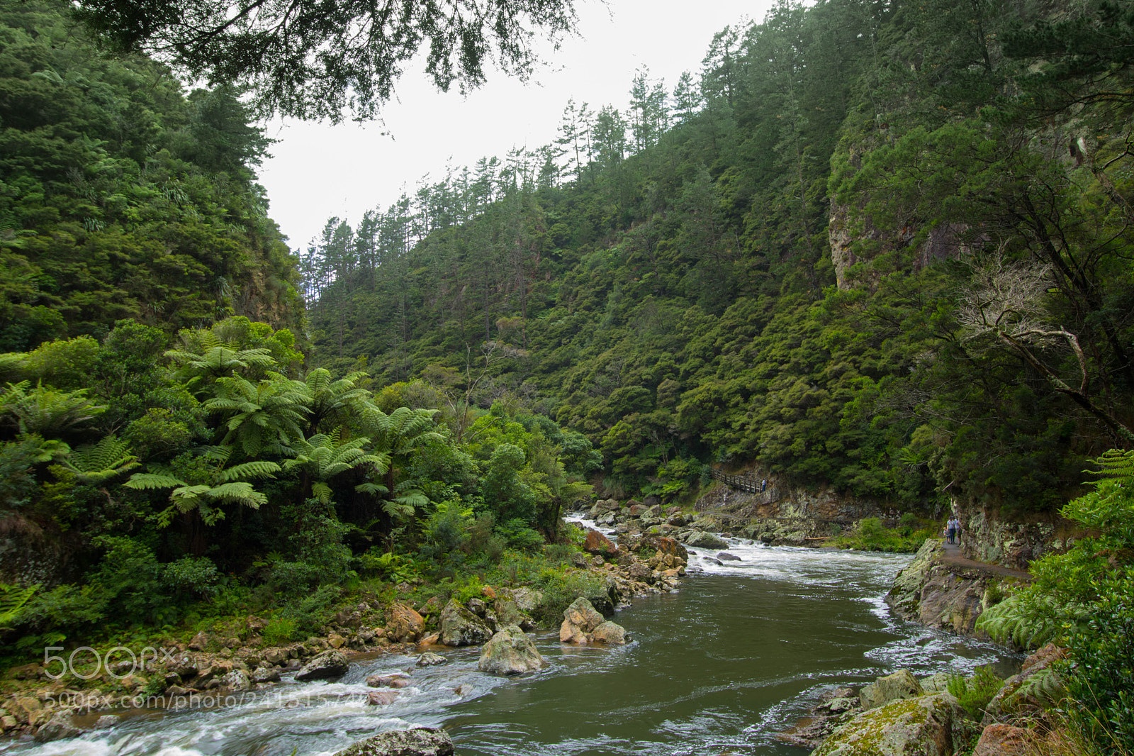 Canon EOS 750D (EOS Rebel T6i / EOS Kiss X8i) sample photo. Karangahake gorge photography