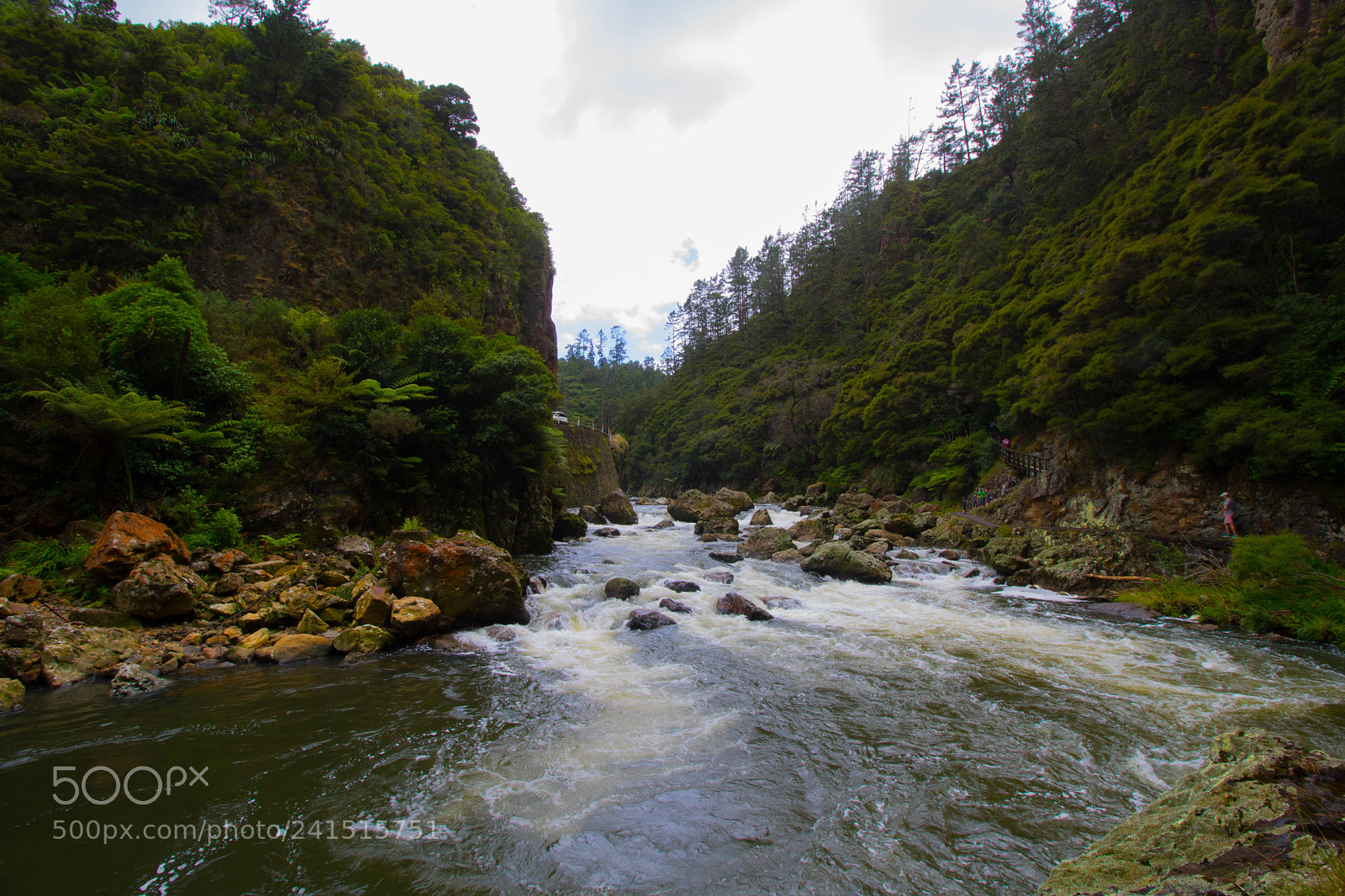 Canon EOS 750D (EOS Rebel T6i / EOS Kiss X8i) sample photo. Karangahake gorge photography