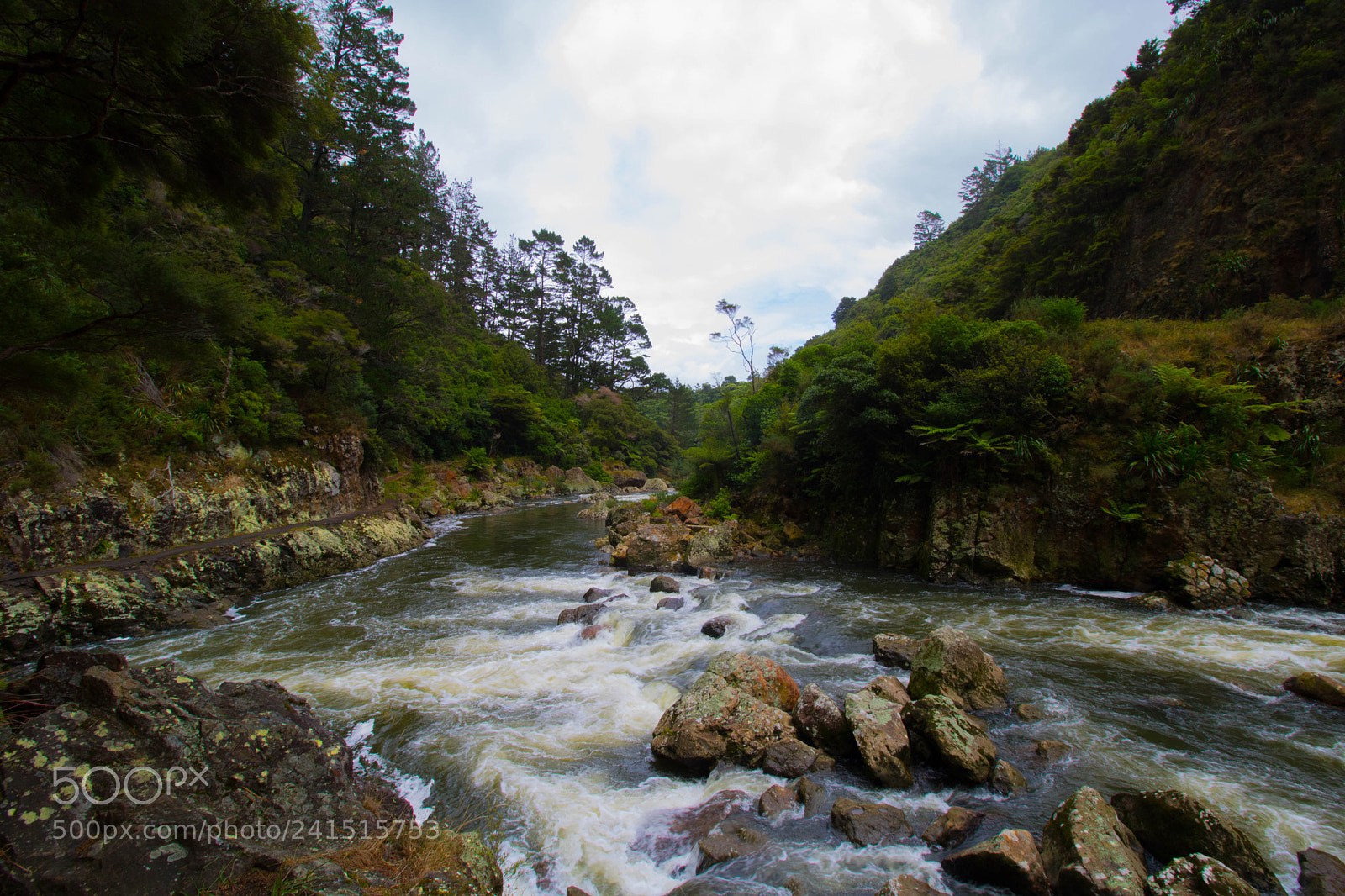 Canon EOS 750D (EOS Rebel T6i / EOS Kiss X8i) sample photo. Karangahake gorge photography
