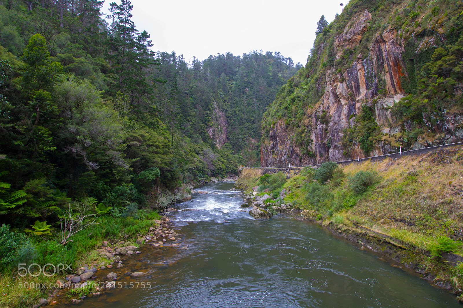 Canon EOS 750D (EOS Rebel T6i / EOS Kiss X8i) sample photo. Karangahake gorge photography