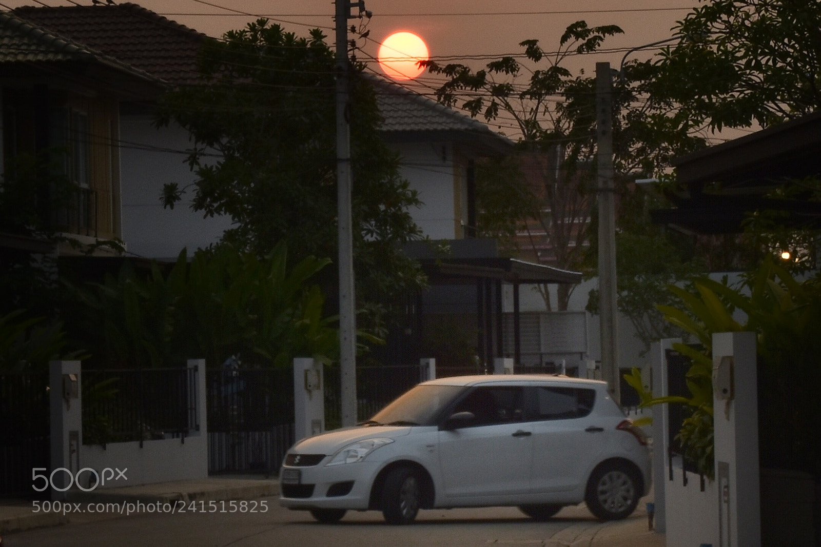 Nikon D5600 sample photo. Untitled photography