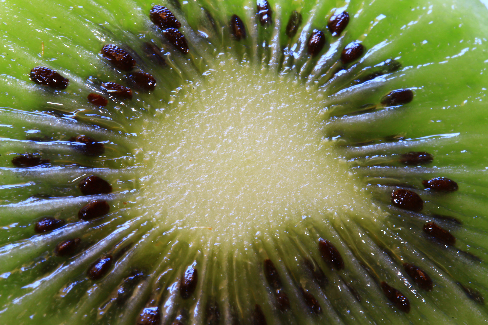 Canon EF-S 60mm F2.8 Macro USM sample photo. Kiwi fruit photography