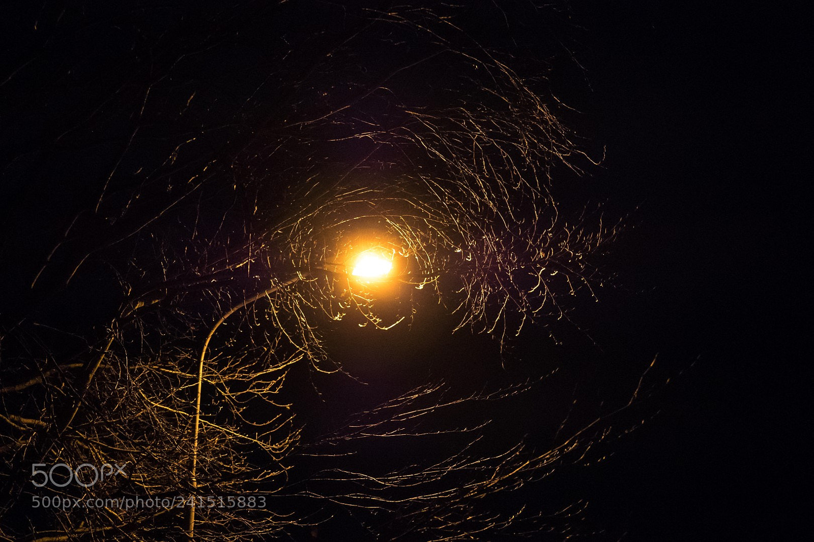 Panasonic Lumix DMC-GX85 (Lumix DMC-GX80 / Lumix DMC-GX7 Mark II) sample photo. Streetlight and tree photography