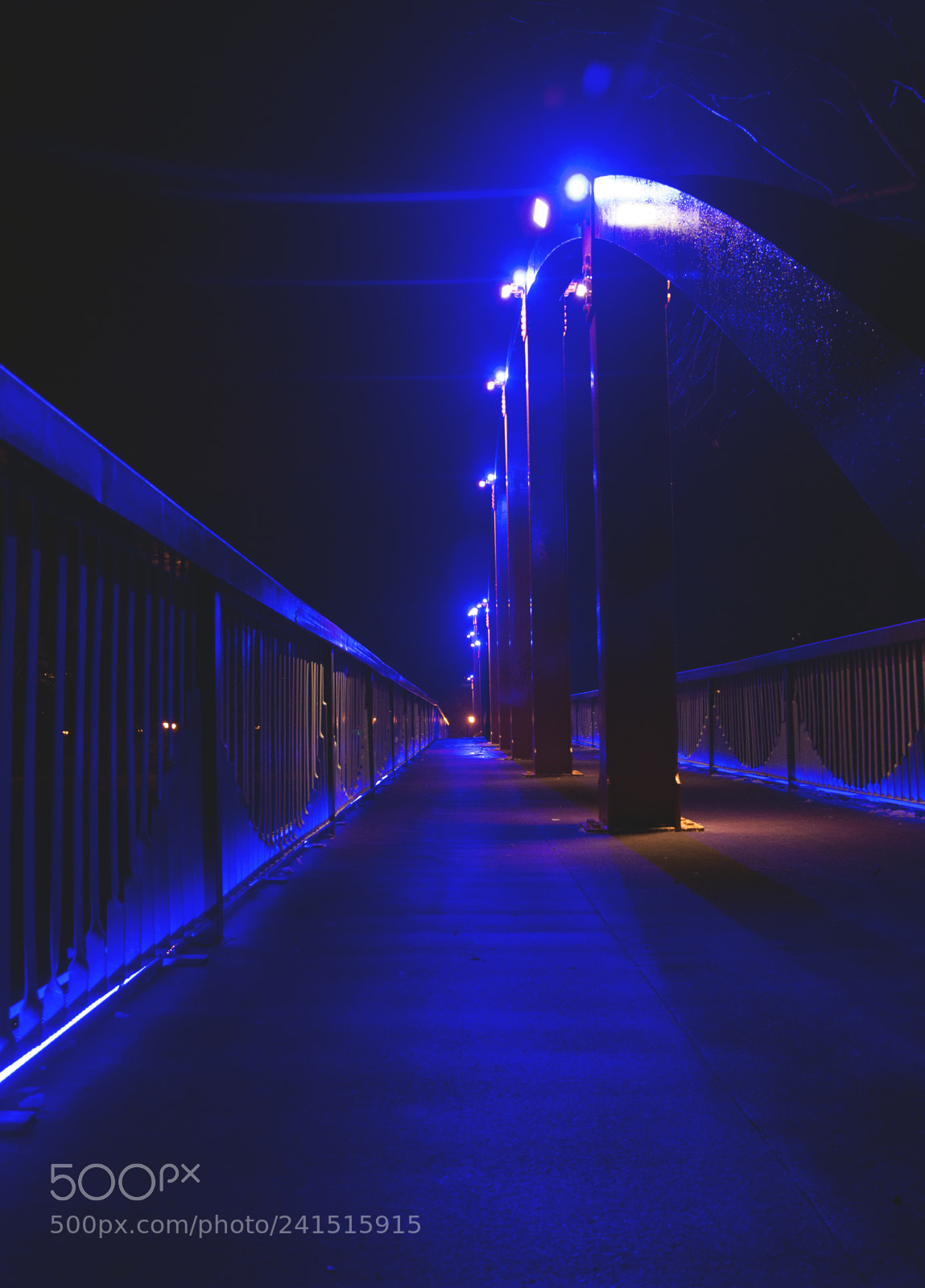 Nikon D3200 sample photo. B r 1 d g 3 photography