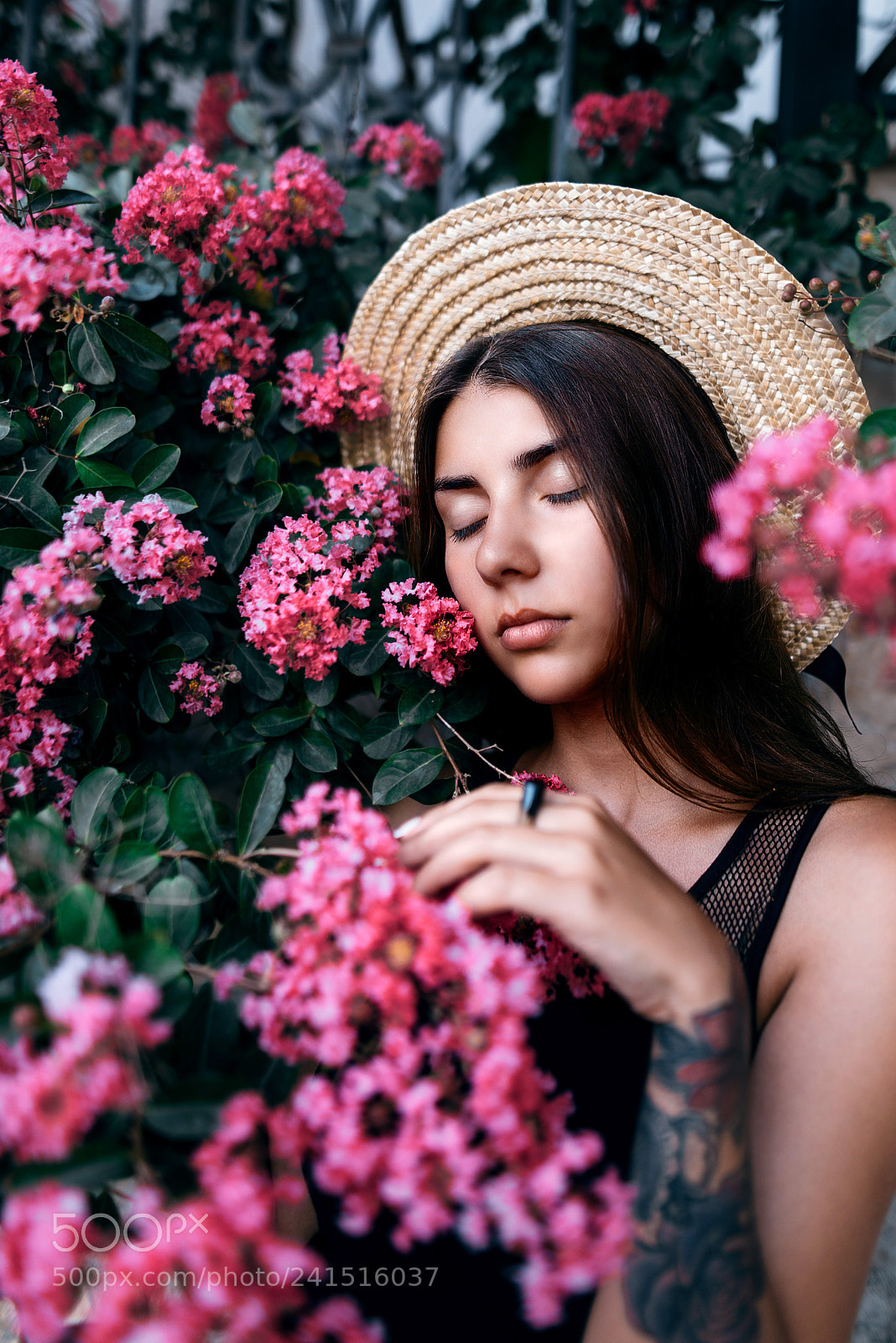 Nikon D800 sample photo. Blossom photography
