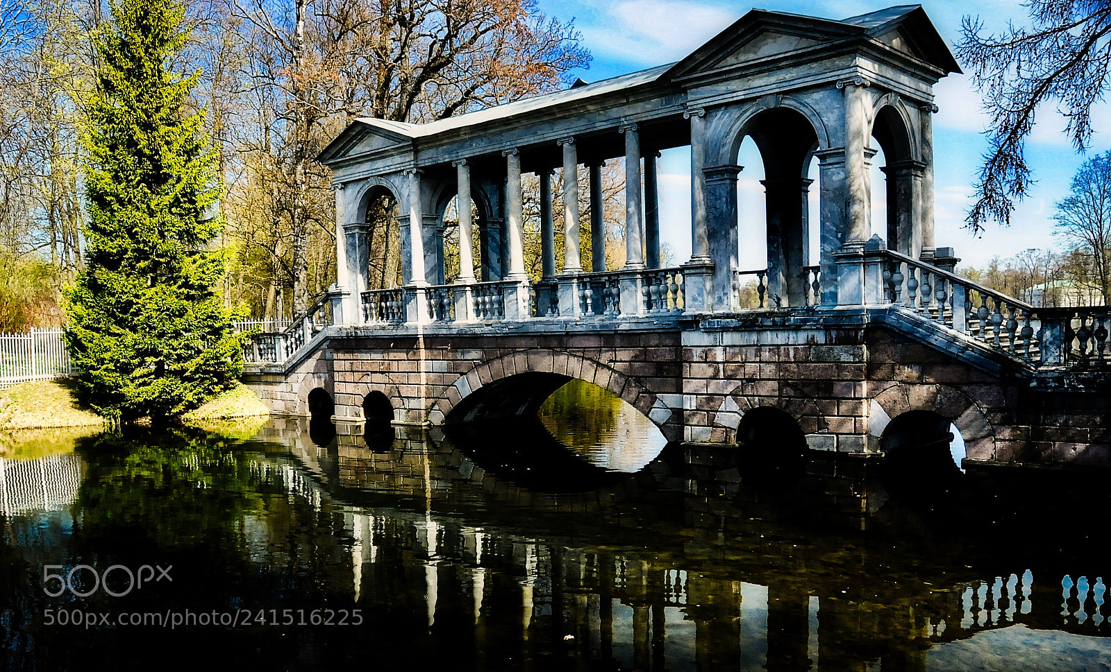 Nikon D300S sample photo. Tsarskoe selo (Царское Село) photography