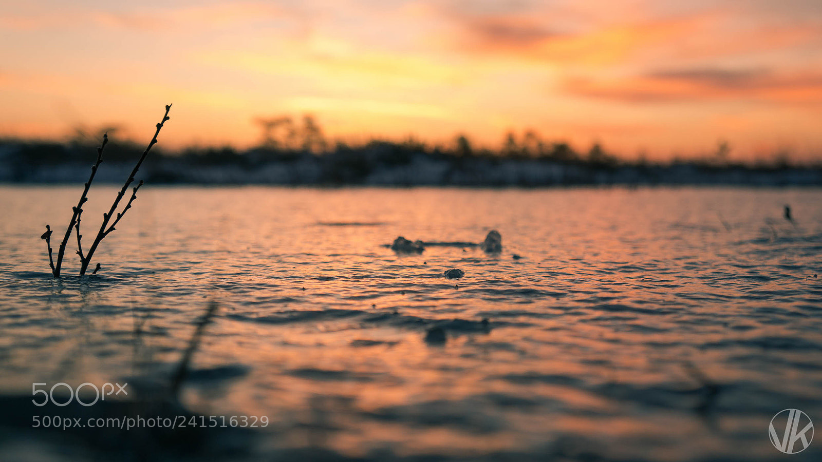 Sony Alpha NEX-5R sample photo. Kakerdaja 31.12.2017 photography