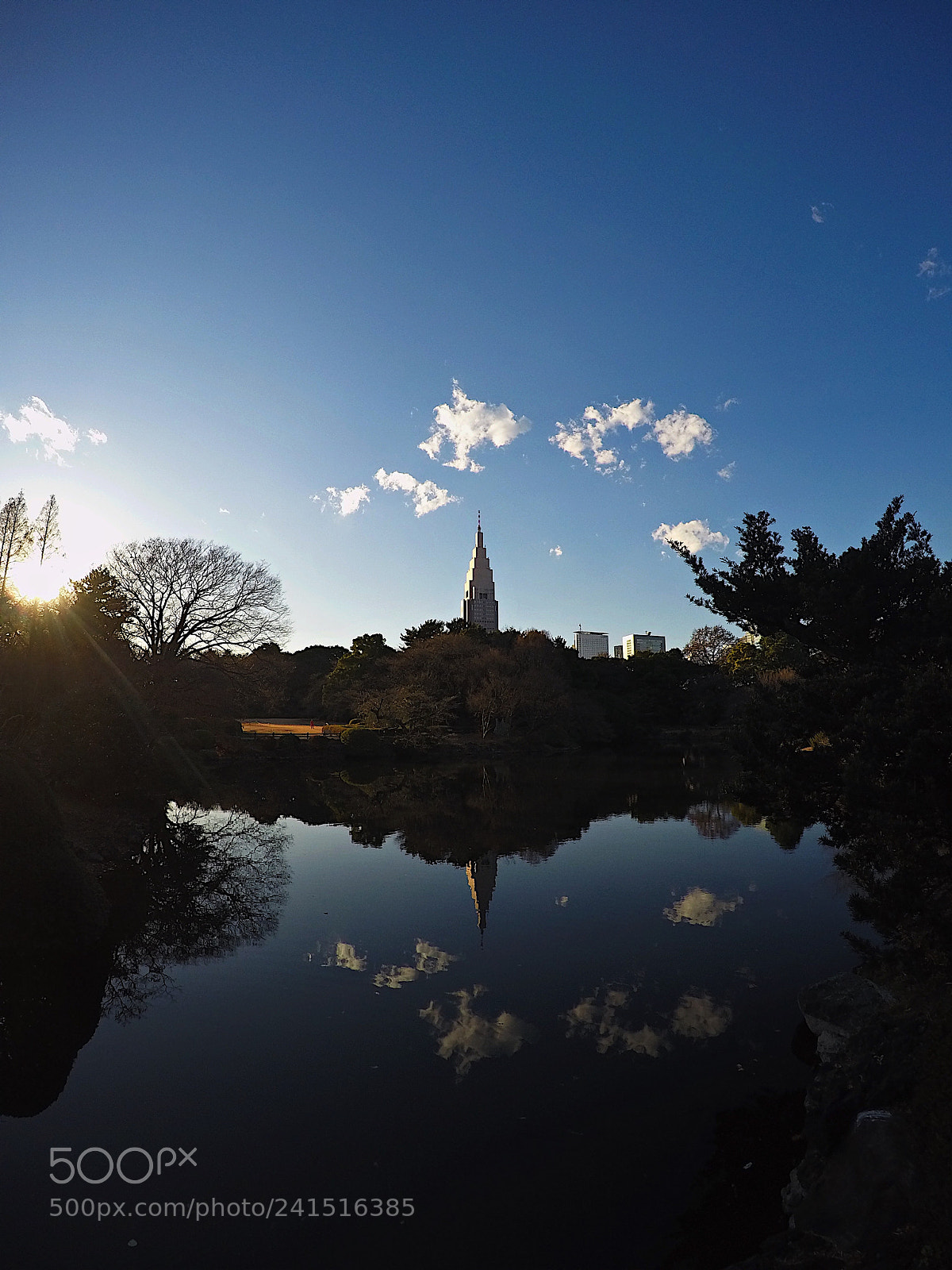 GoPro HERO4 Silver sample photo. Beautiful even in winter photography