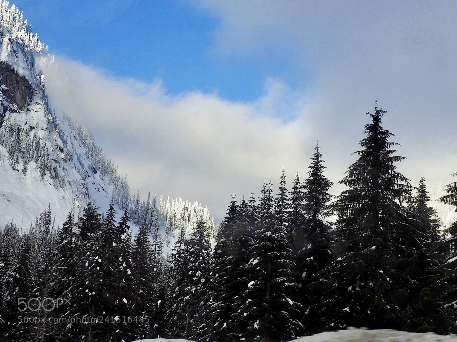 Olympus OM-D E-M5 II sample photo. Mountain view photography