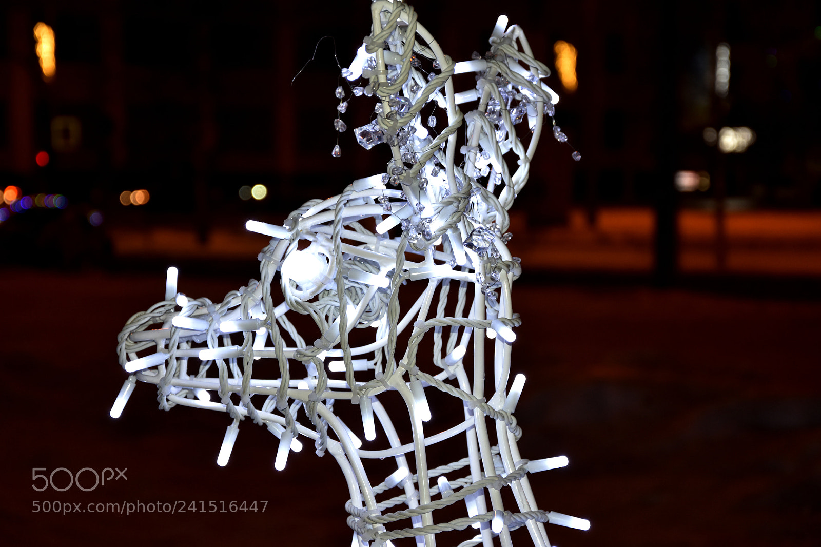 Nikon D7200 sample photo. Fawn photography