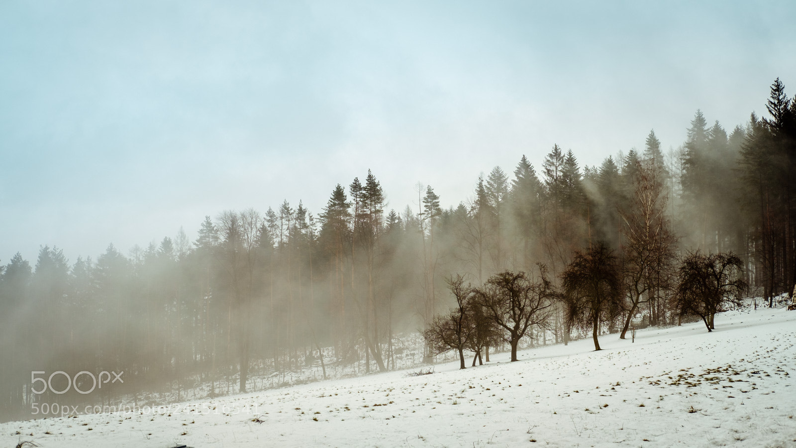 Fujifilm X-Pro2 sample photo. Moravia photography