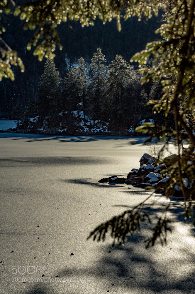 Nikon D4 sample photo. Eibsee photography