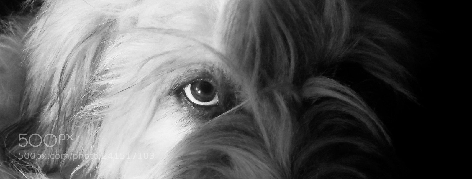 Samsung Galaxy S4 Mini sample photo. Eye in the b photography
