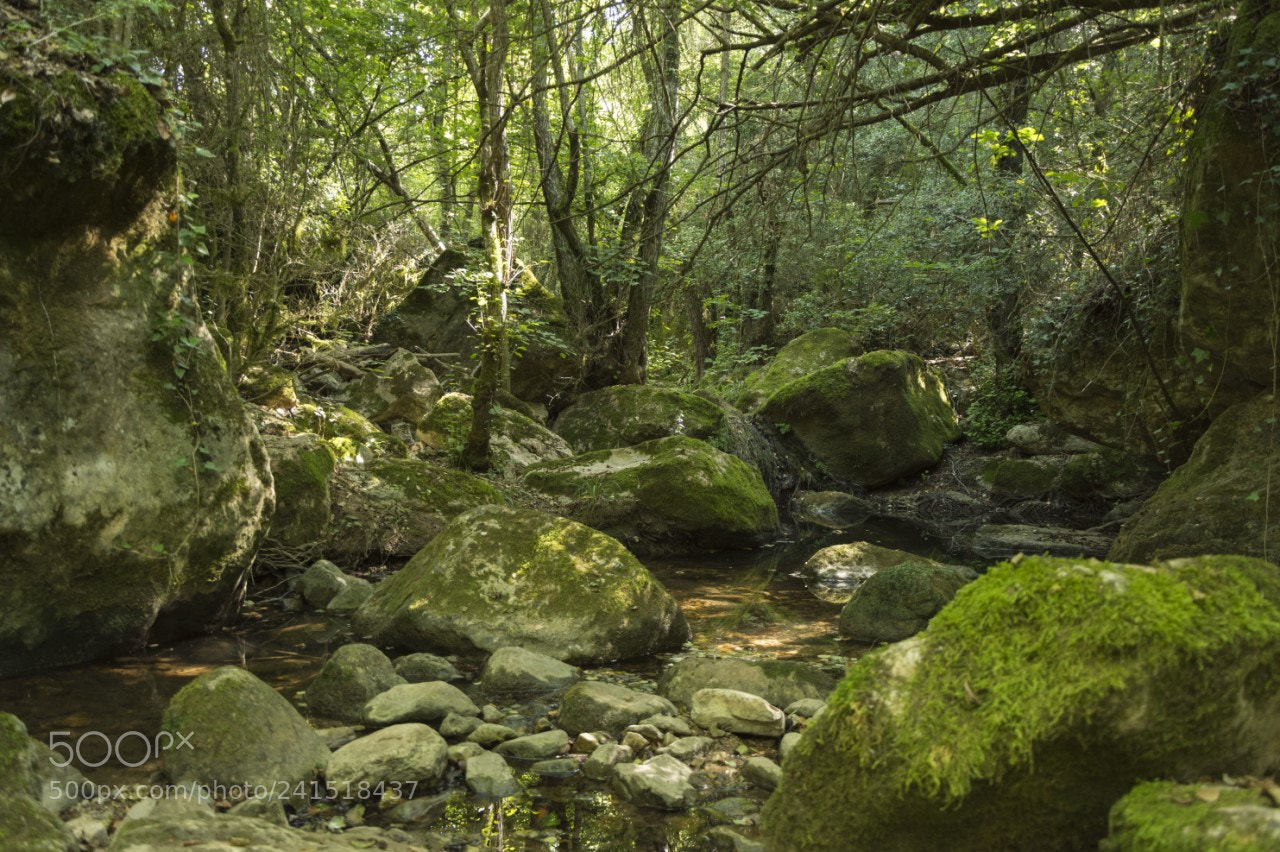 Nikon D7200 sample photo. Desde dentro photography