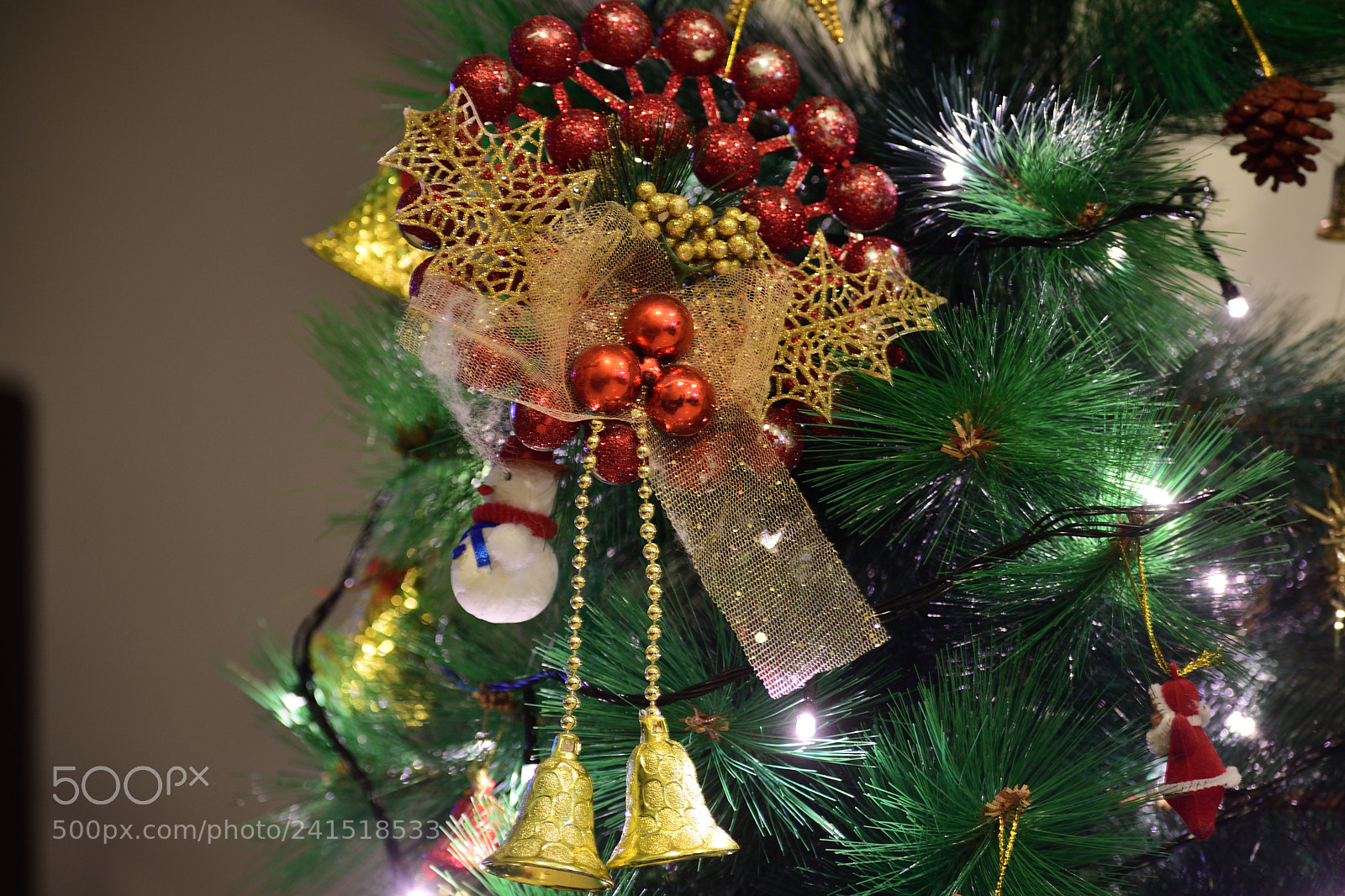 Nikon D7500 sample photo. Untitled photography
