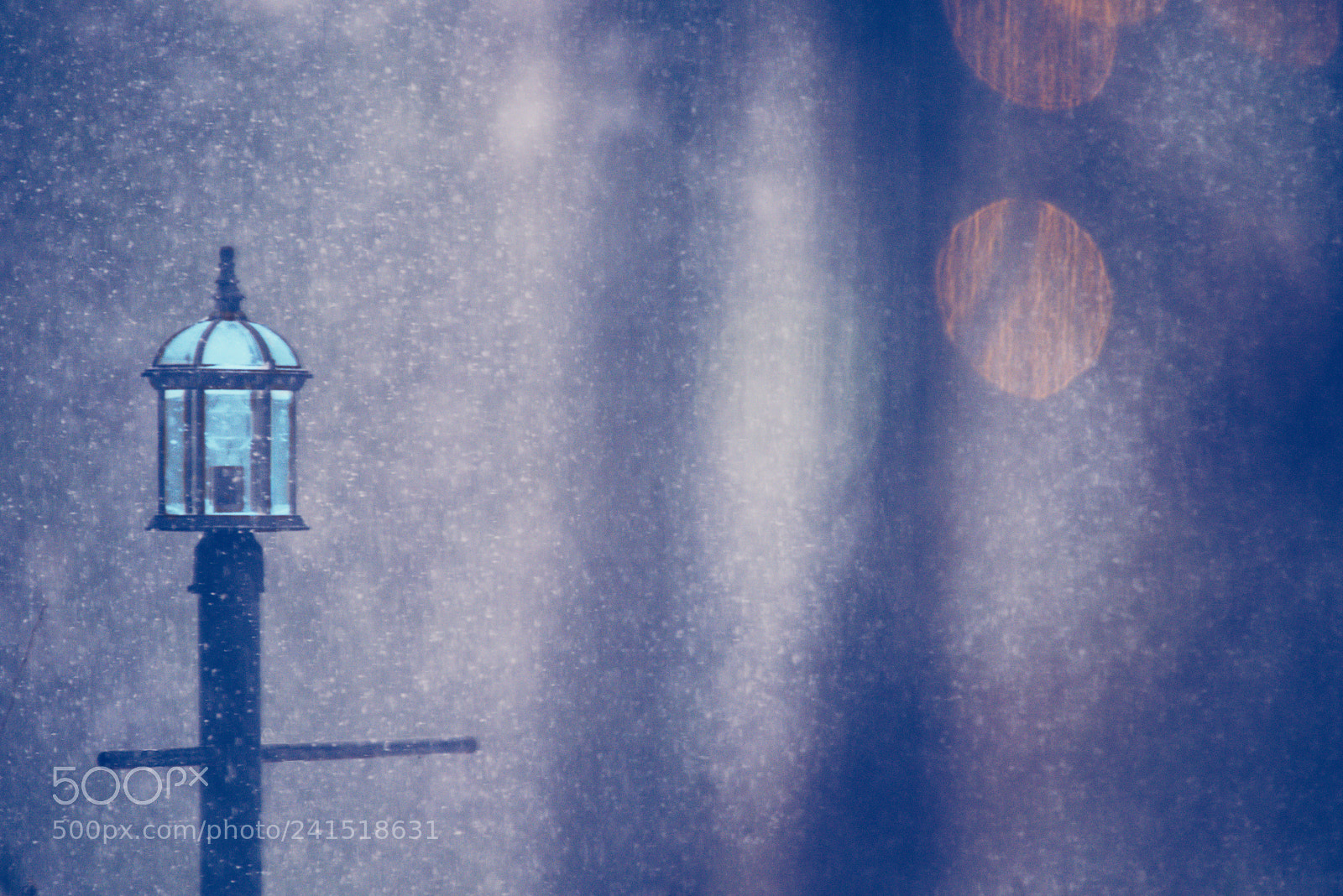 Nikon D810 sample photo. Heavy snow photography