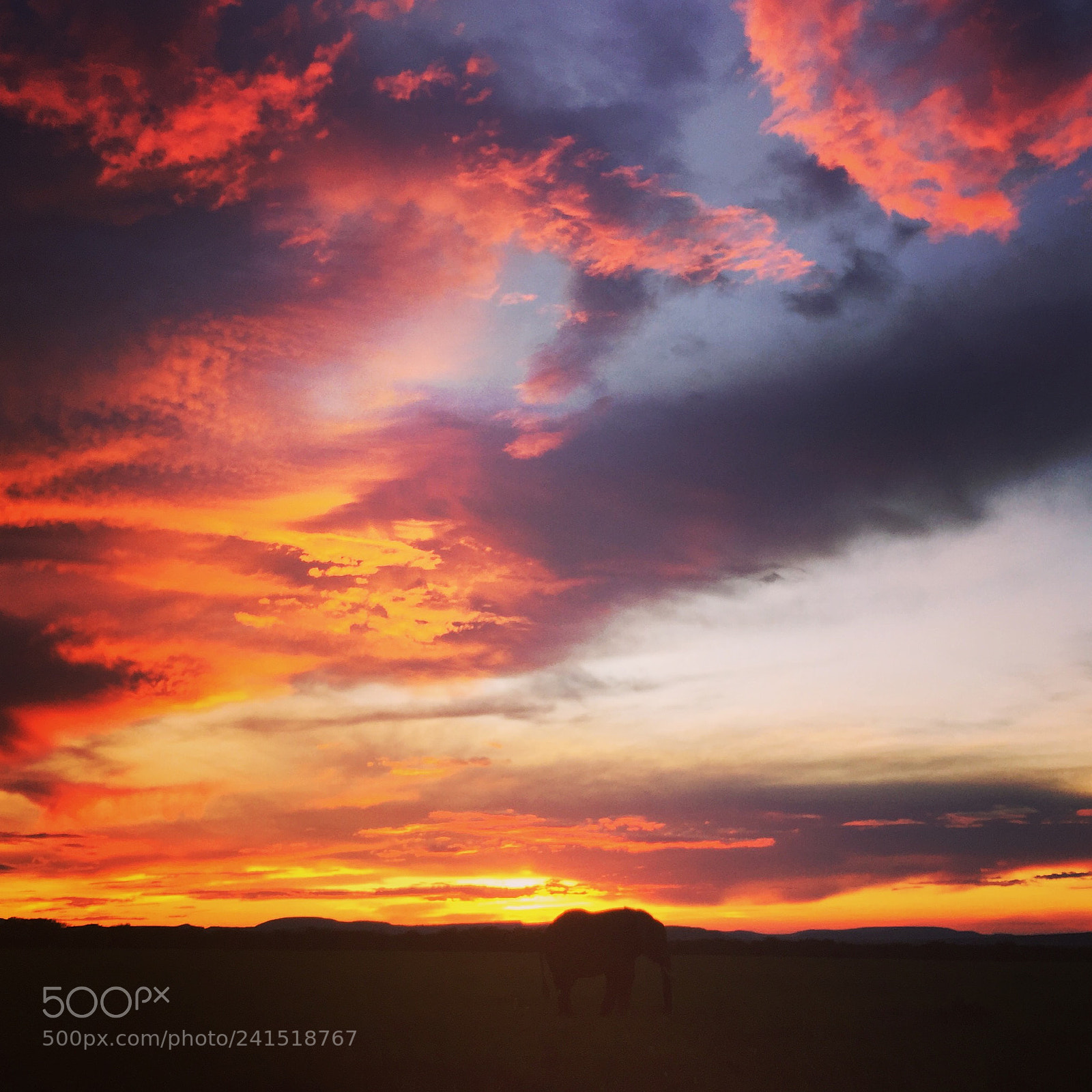 Apple iPhone 6 Plus sample photo. Sunset of serengeti photography