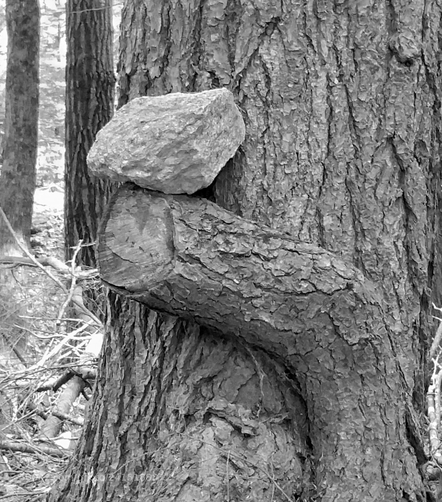 Samsung Galaxy Note4 sample photo. Rock sculpture photography
