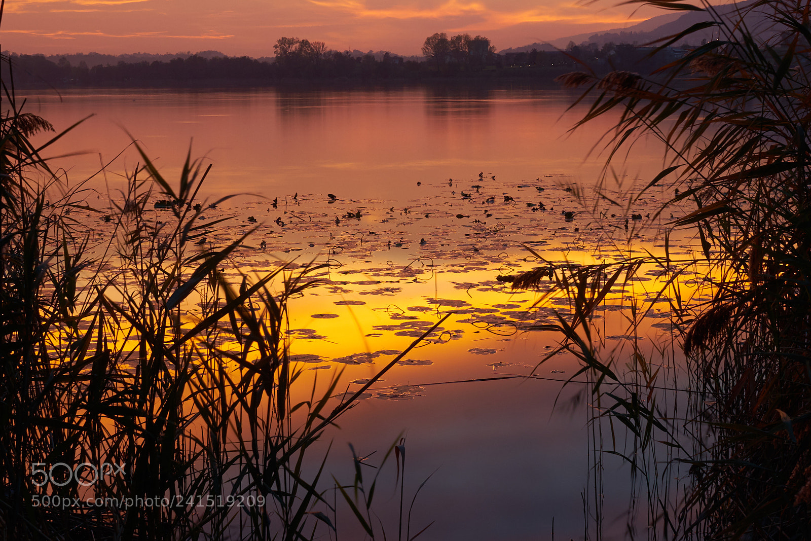 Sony a7 sample photo. Lago annone photography